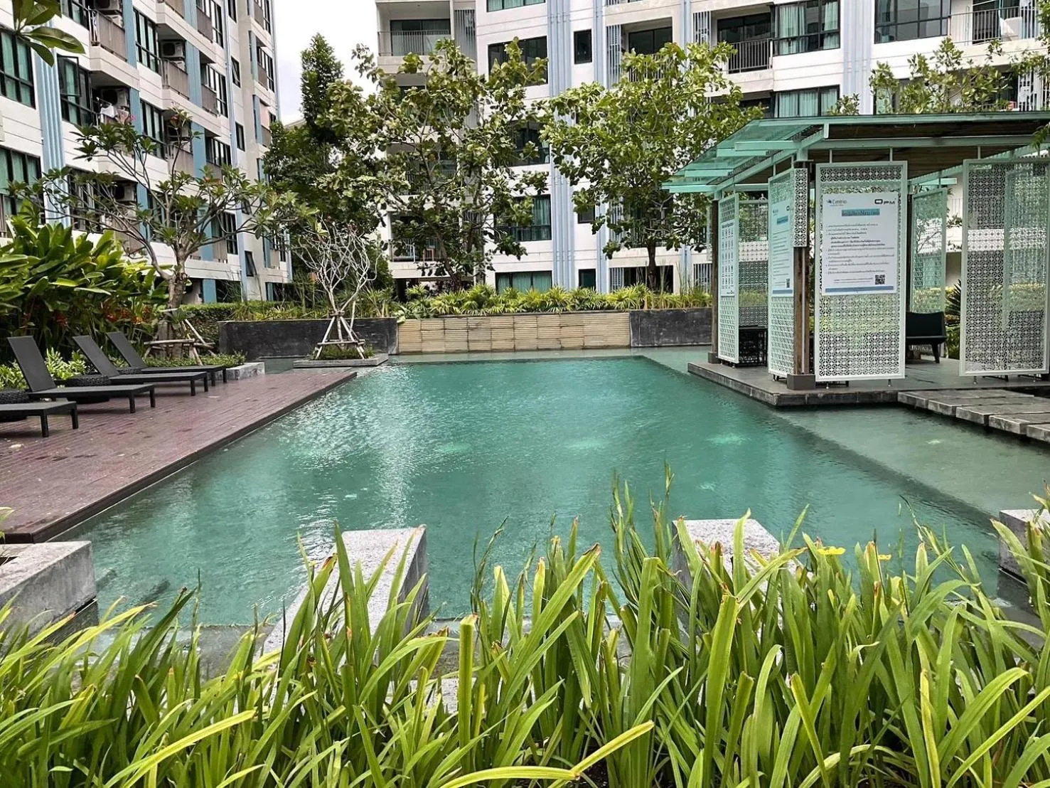Swimming pool in Centrio Condominium across Central Phuket in Phuket Town