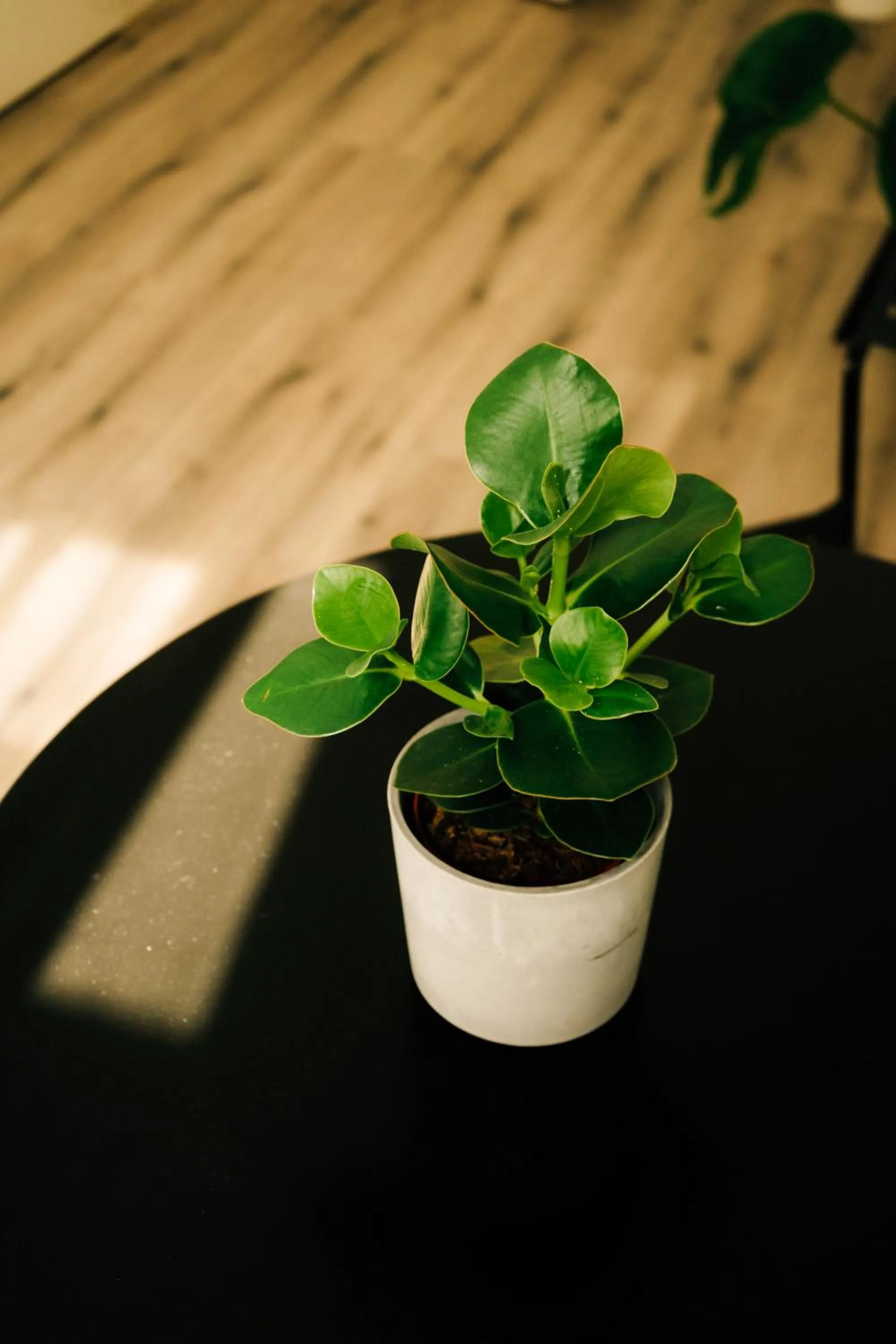 Decorative detail in Oskars Absteige