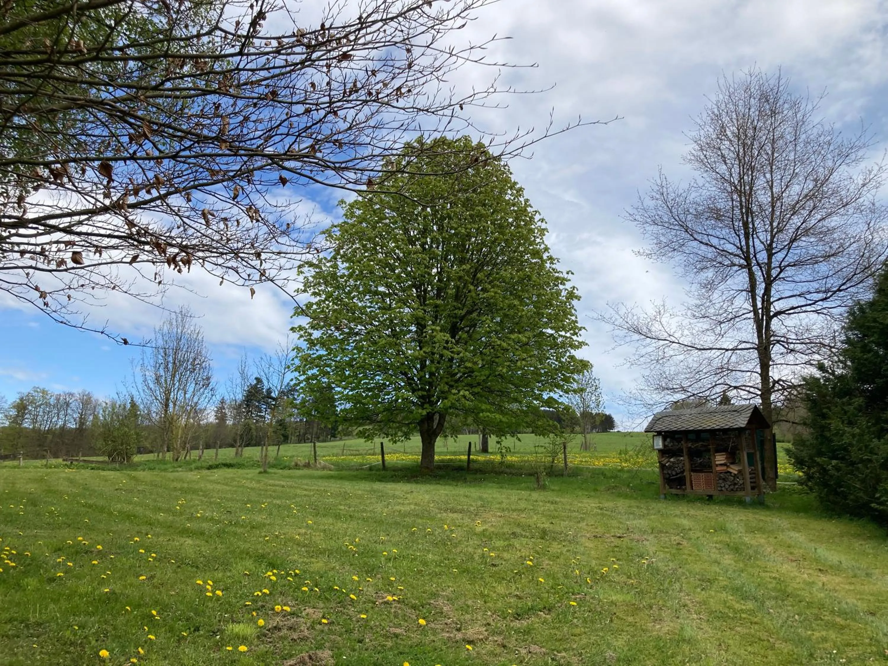 Day in Gasthof Walhalja