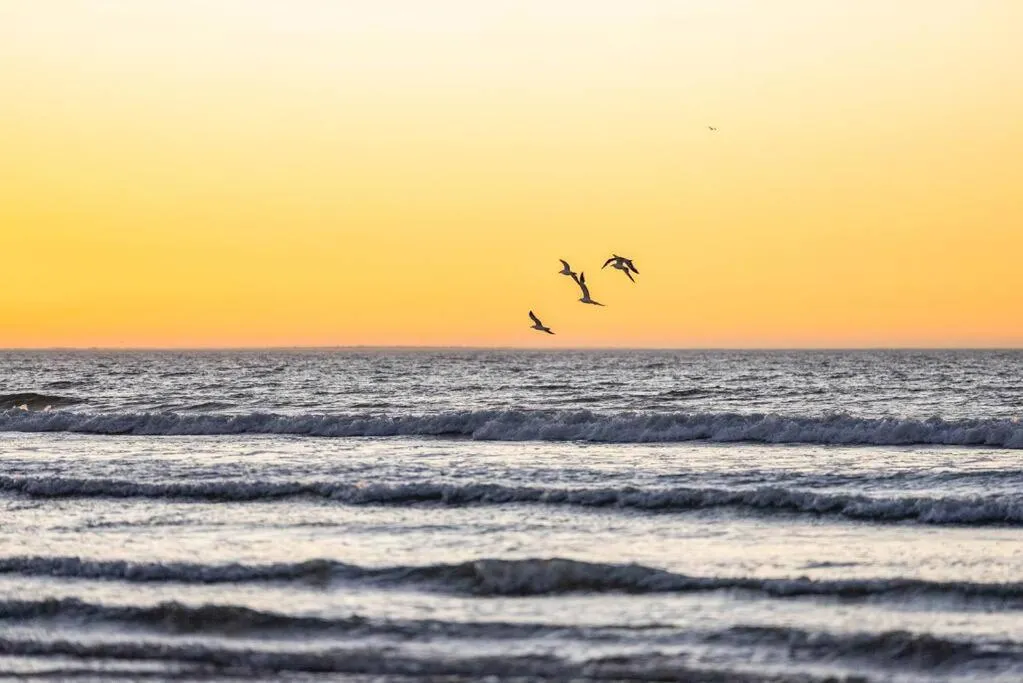 Escape Beach Cottage in Dwarskersbos