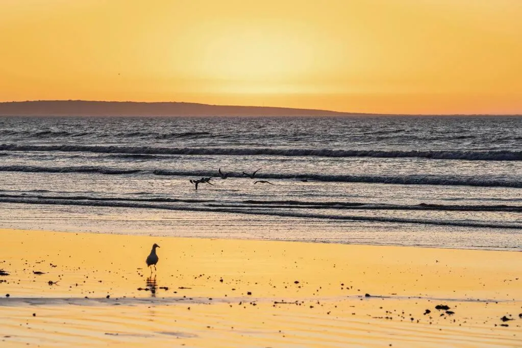 Escape Beach Cottage in Dwarskersbos