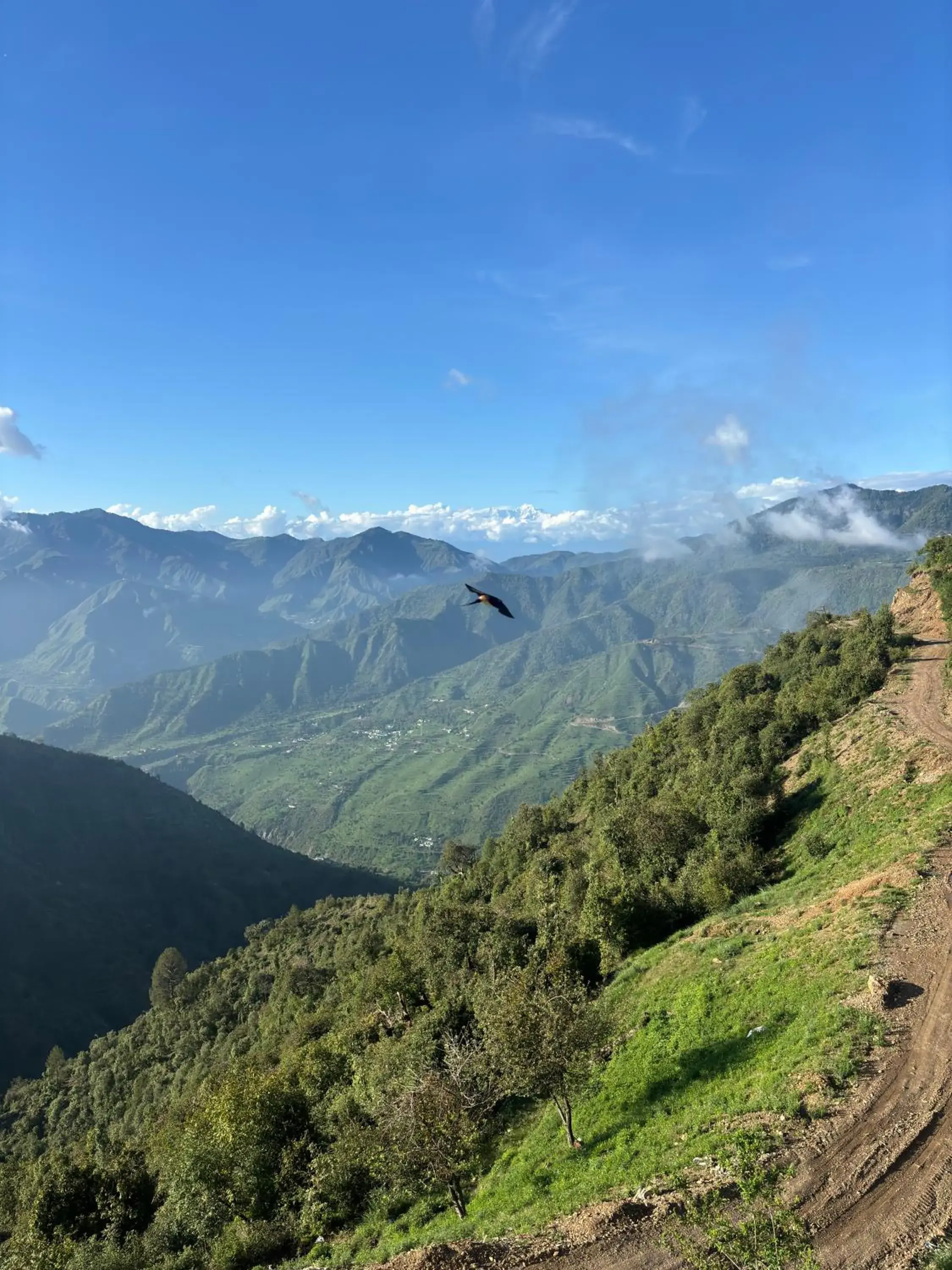 Rumuk Boutique Resort - Offbeat escape Rumuk Boutique Resort - Offbeat escape