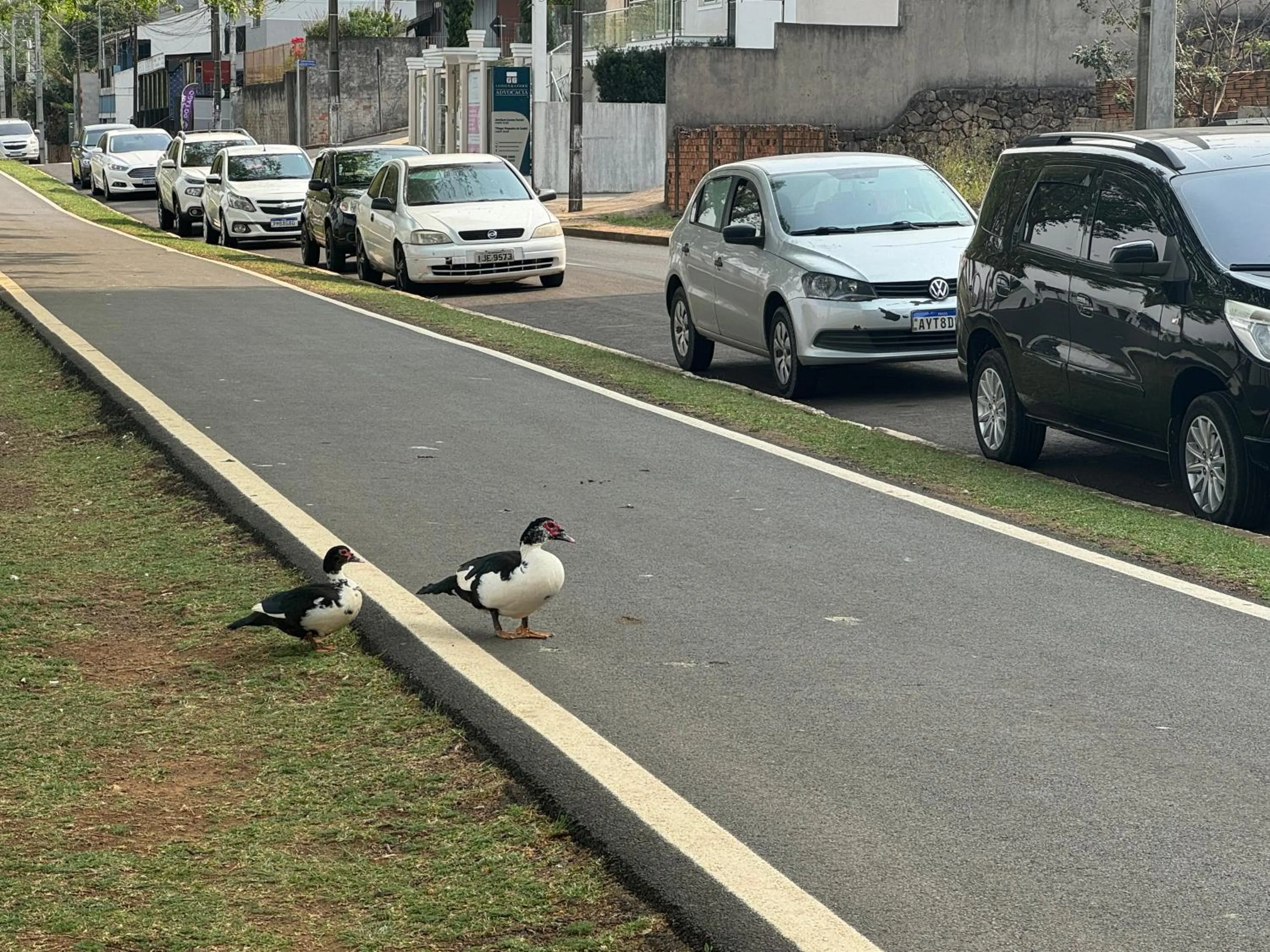 Studio com quarto e banheiro em frente ao Parque do Lago Acomoda até 2 pessoas 1 cama