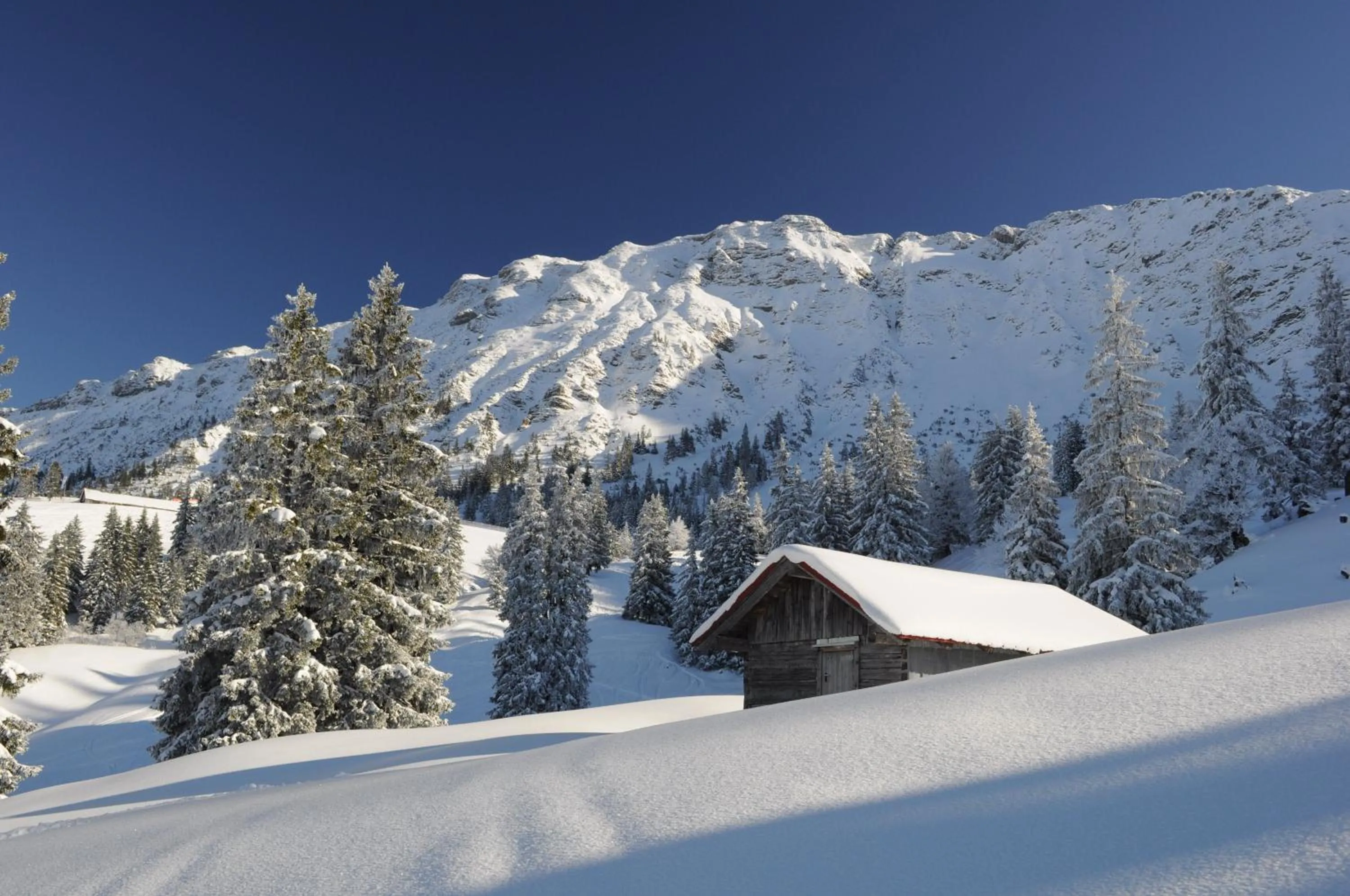 Off site in Landhotel Berghof