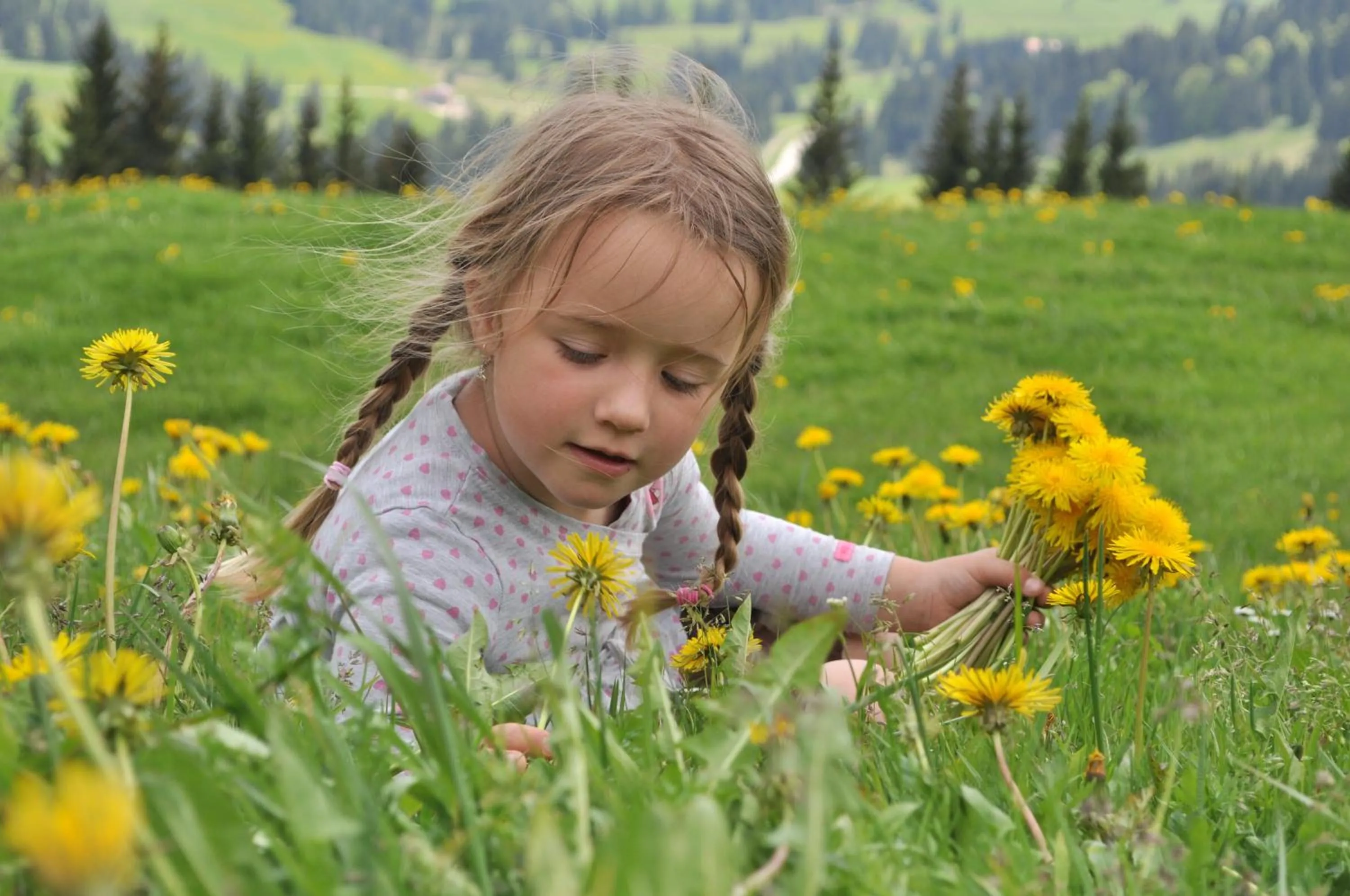 Spring in Landhotel Berghof