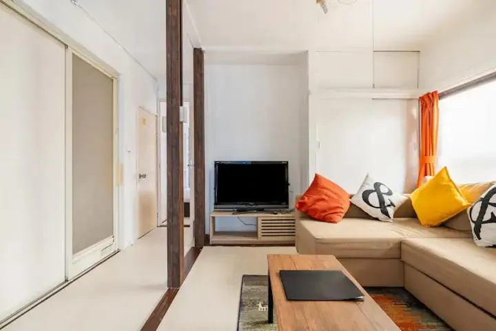 TV and multimedia in SK House