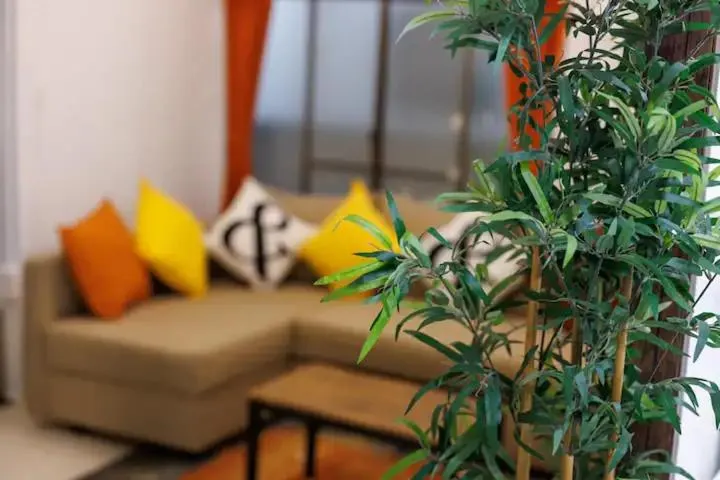 Living room in SK House