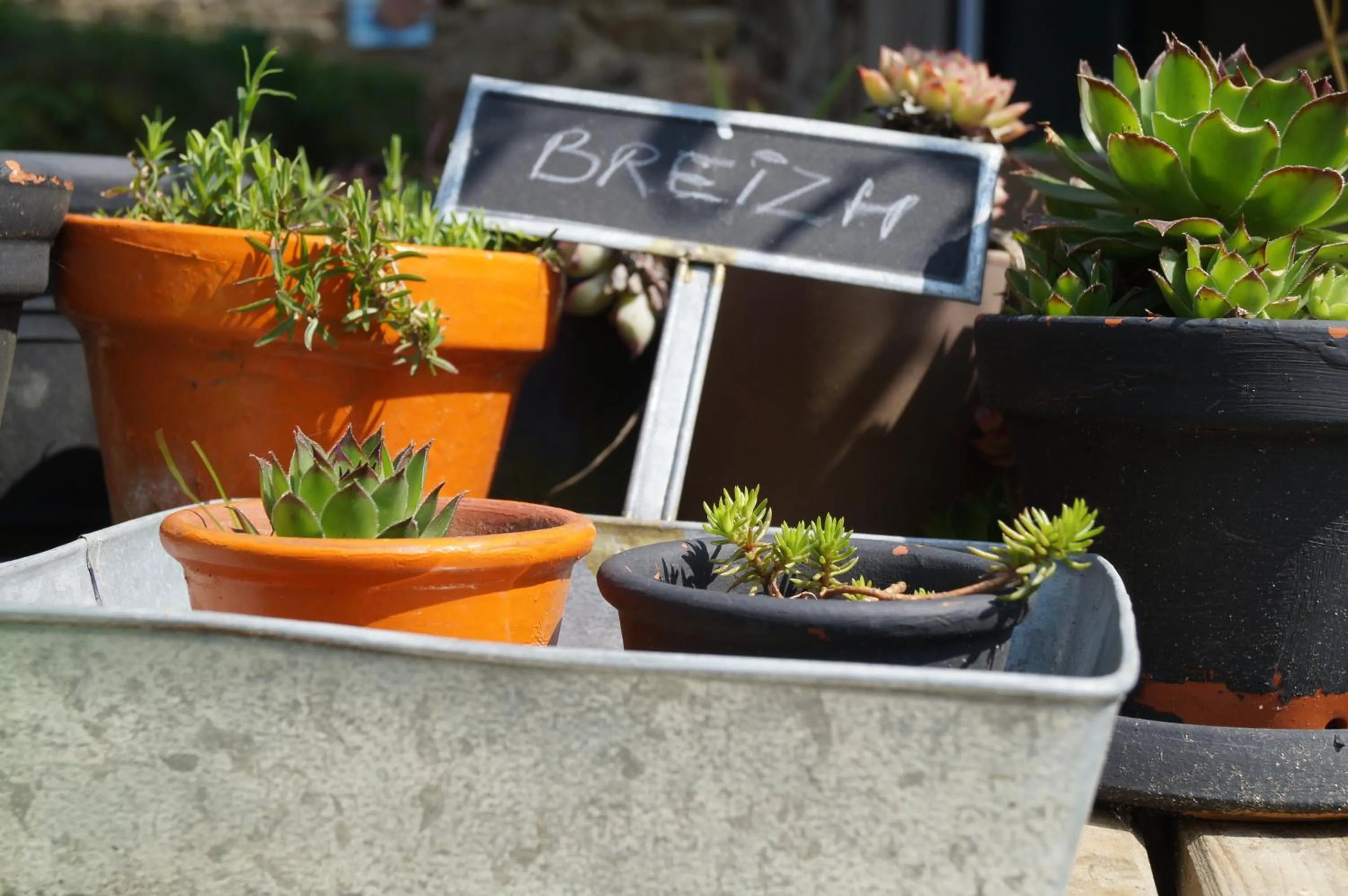 Sunrise in La maison d'hôtes Ty Pic