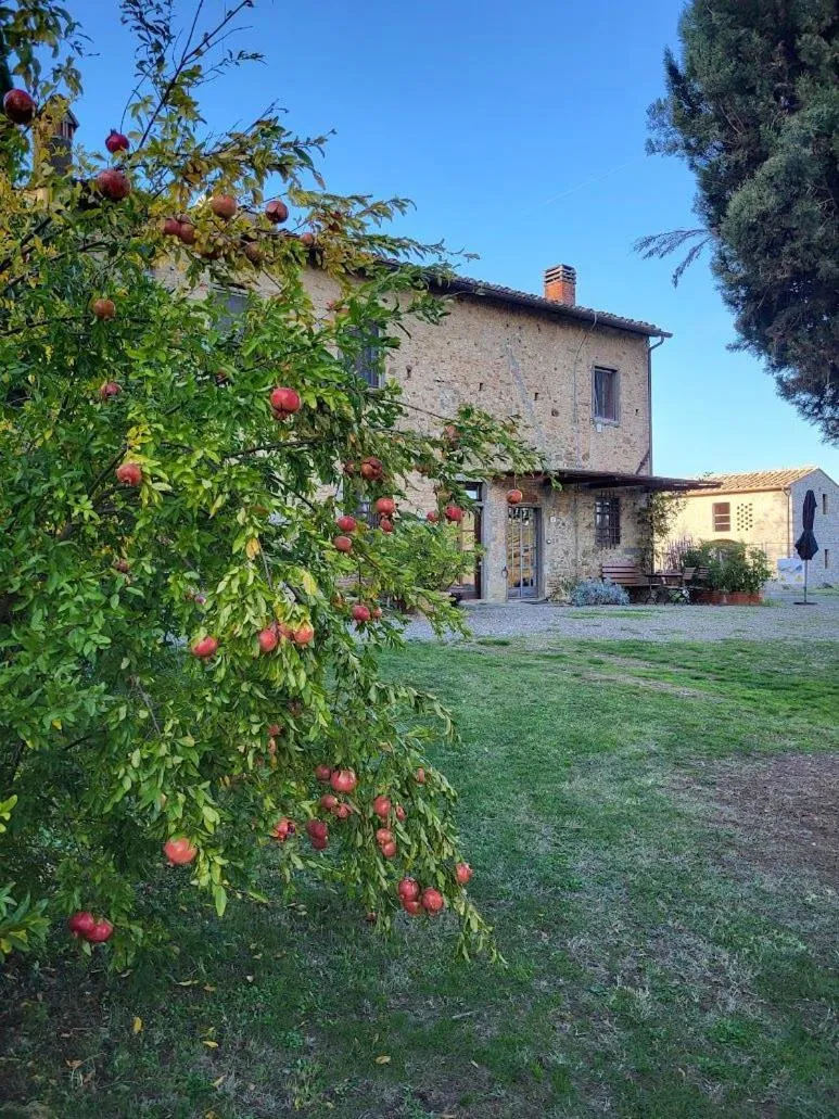 Property building in Il Poggio B&B