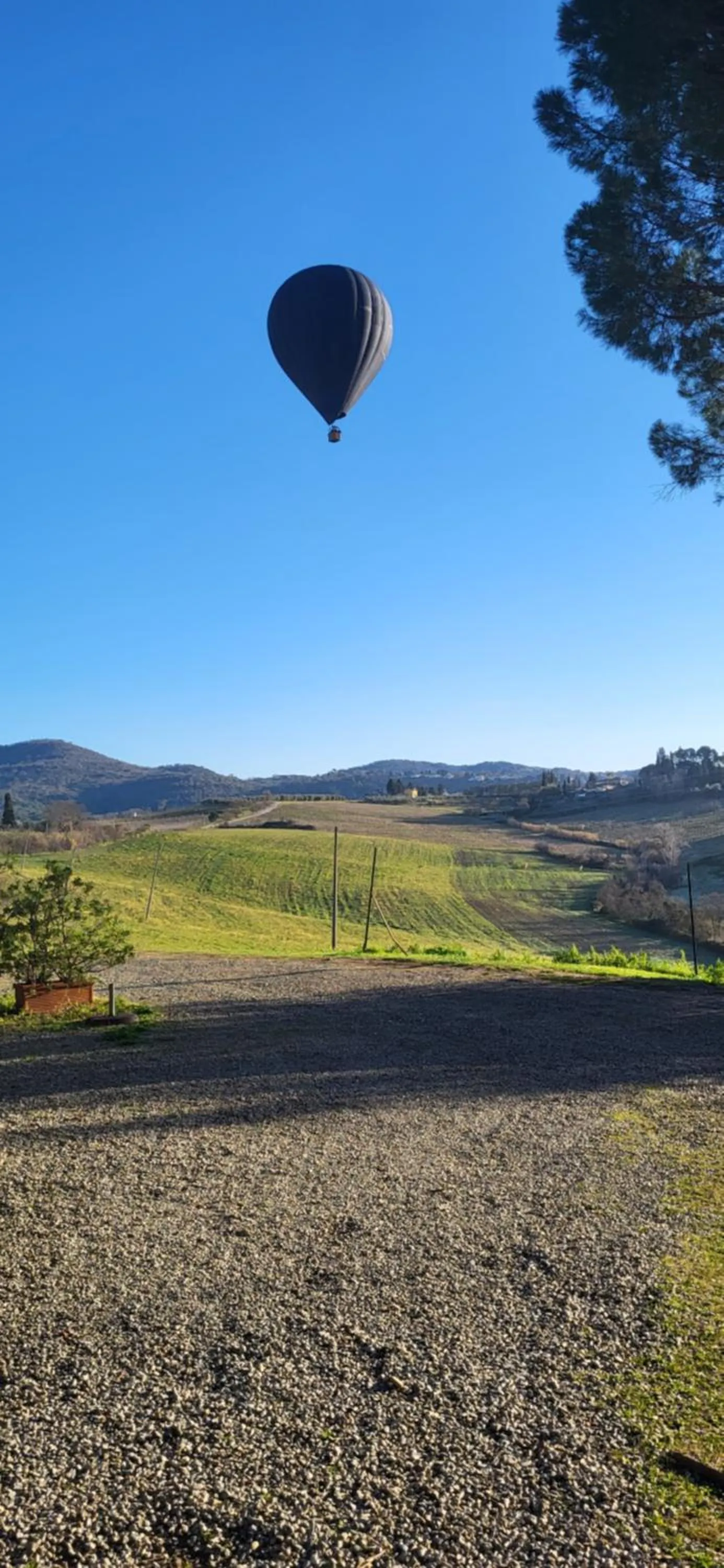 Activities in Il Poggio B&B