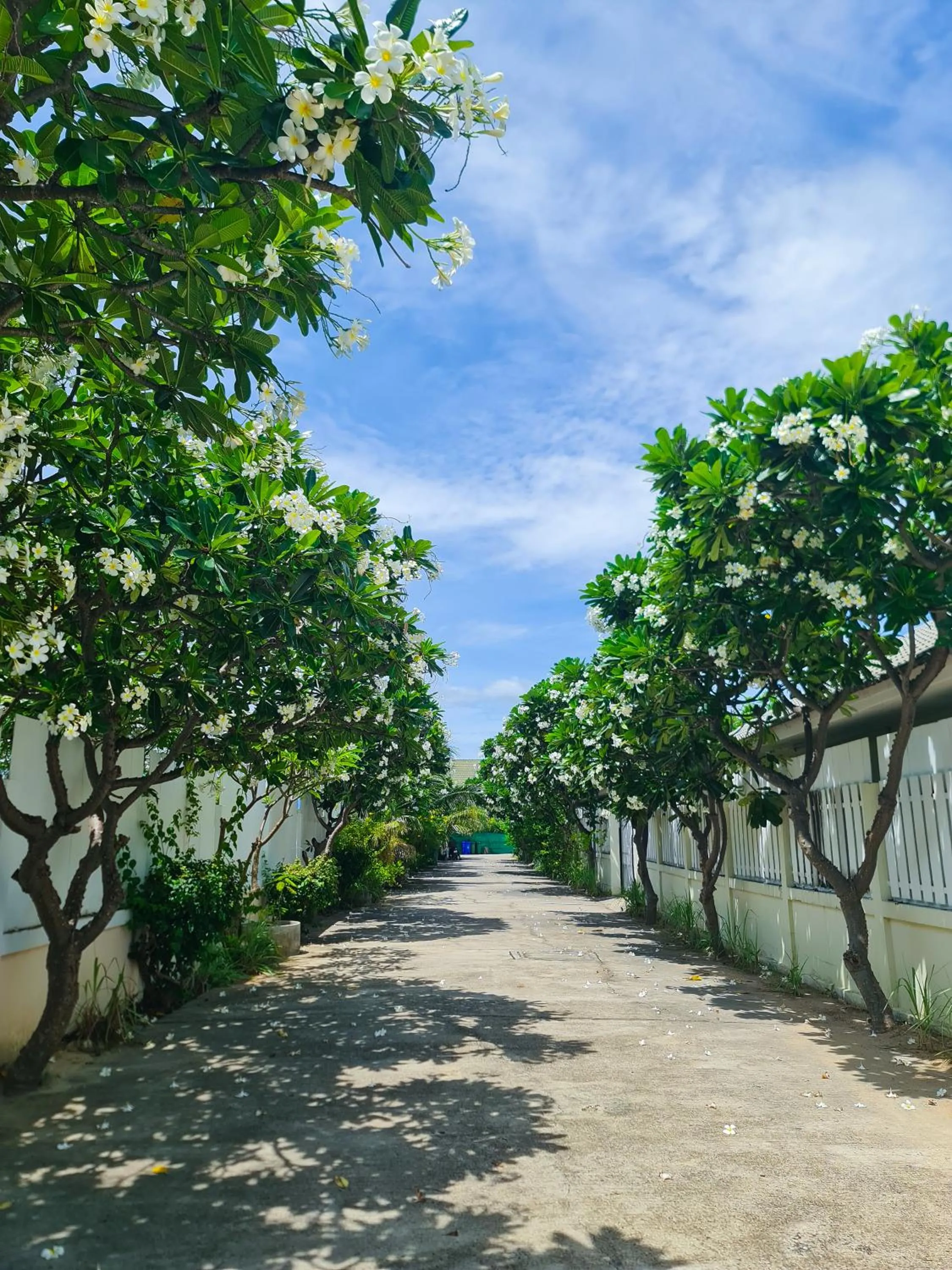 Natural landscape in 1 Bedroom House With Pool In Central Location