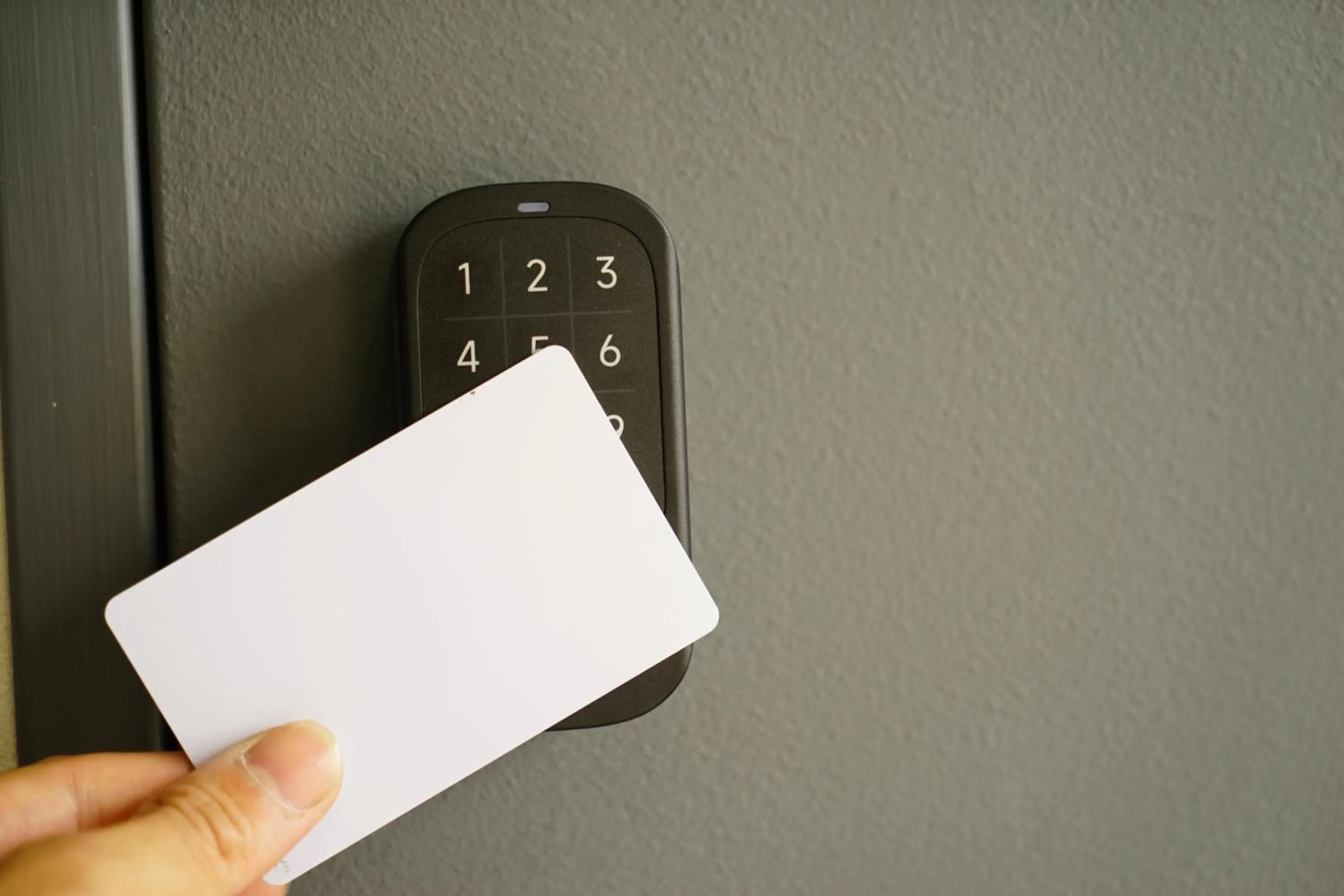 Photo of the whole room in wanderlust STAY