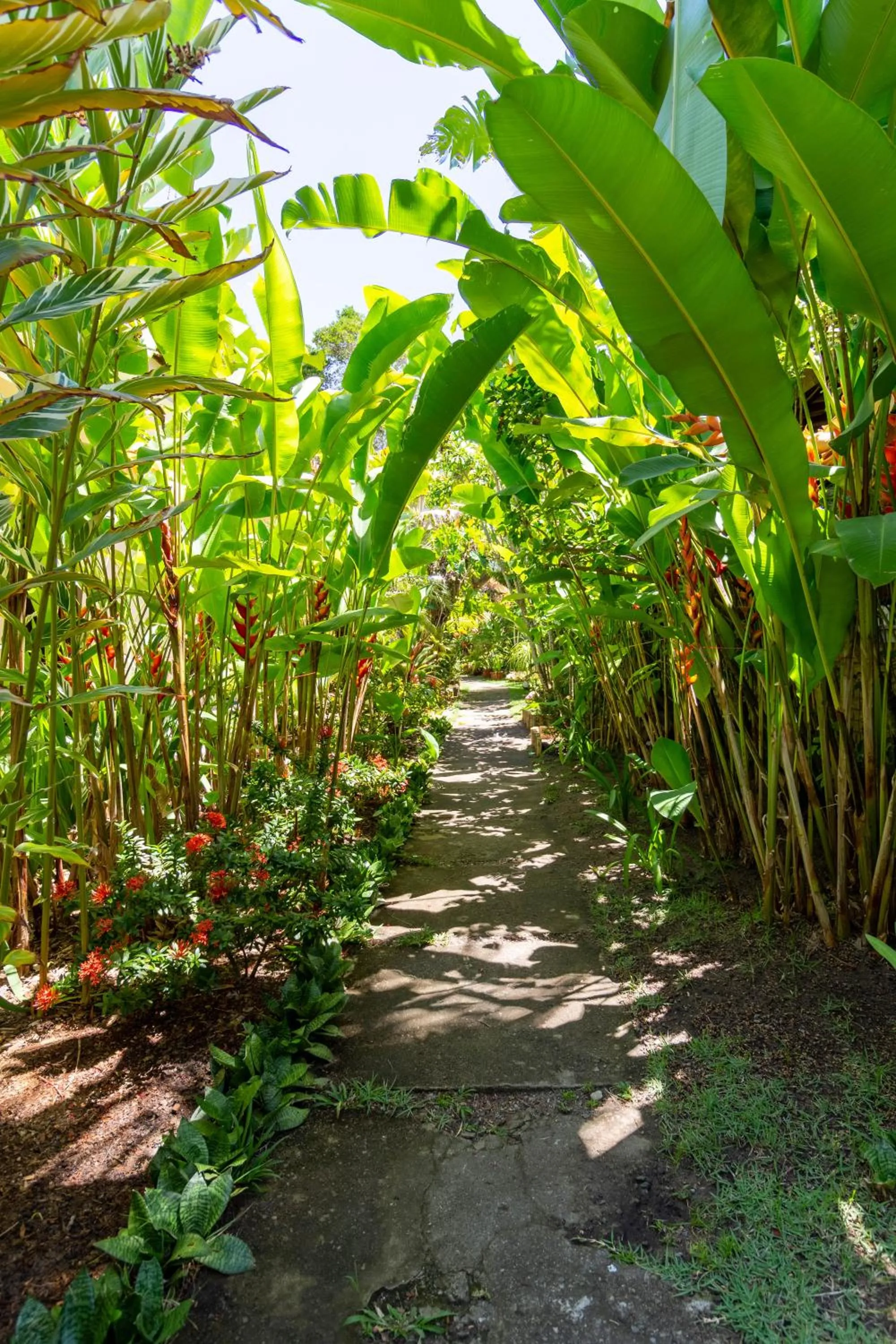Garden in Suites de Charme Amoremio