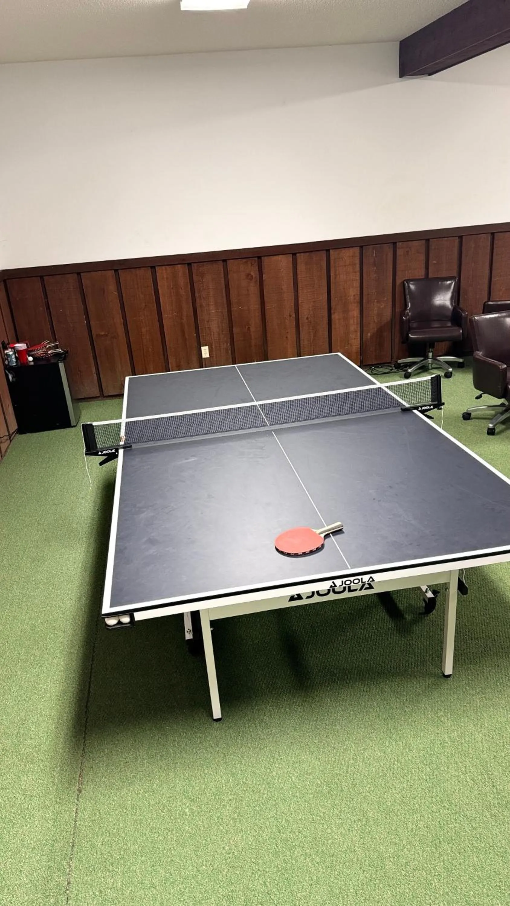 Game Room in Davos Chalet