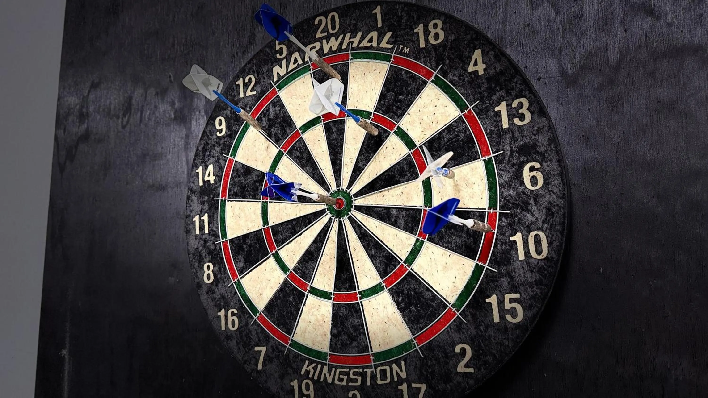 Darts in Davos Chalet