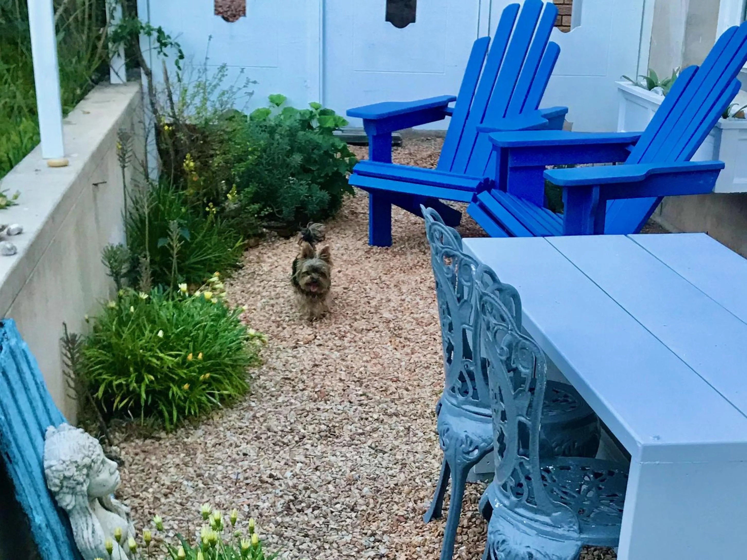 Patio in Charlotte House