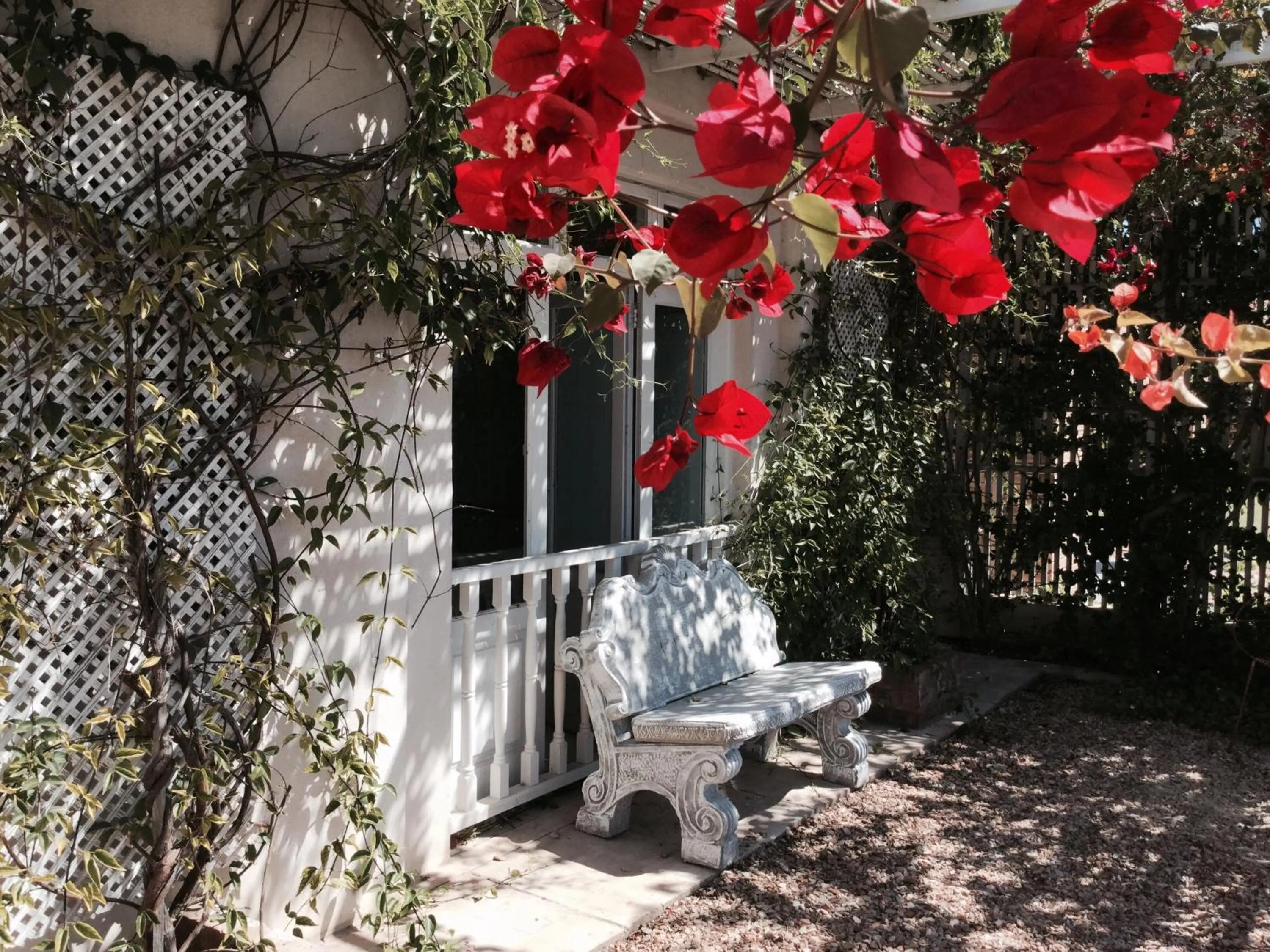 Patio in Charlotte House