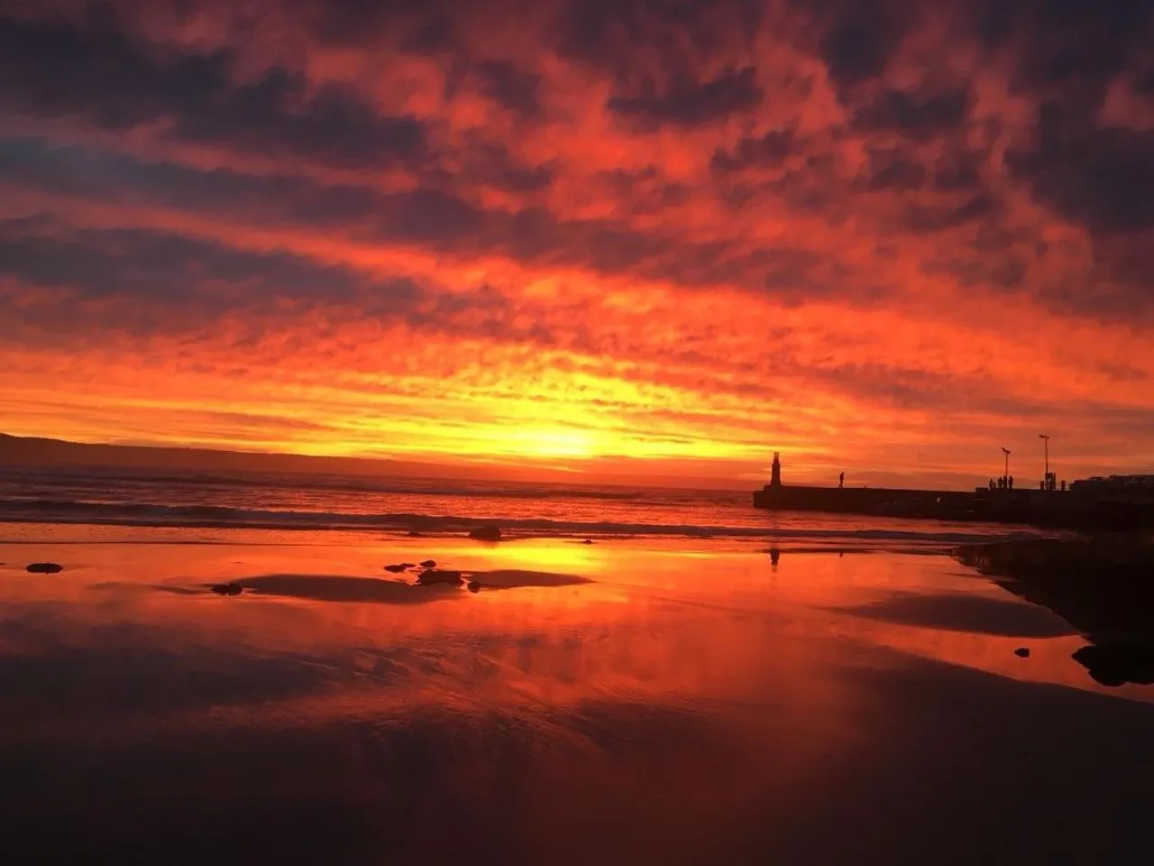 Natural landscape in Charlotte House