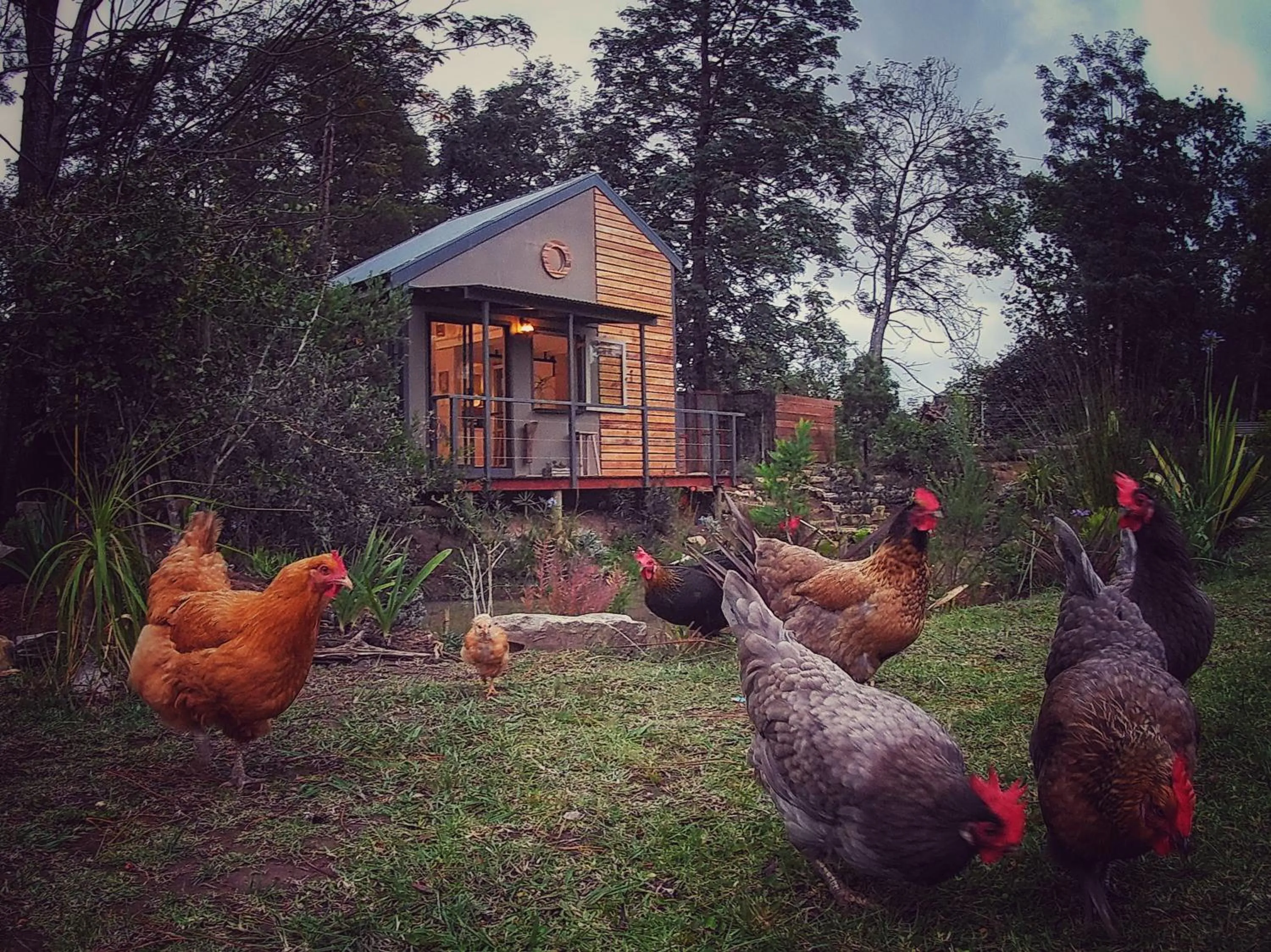 Woodlands Self Catering