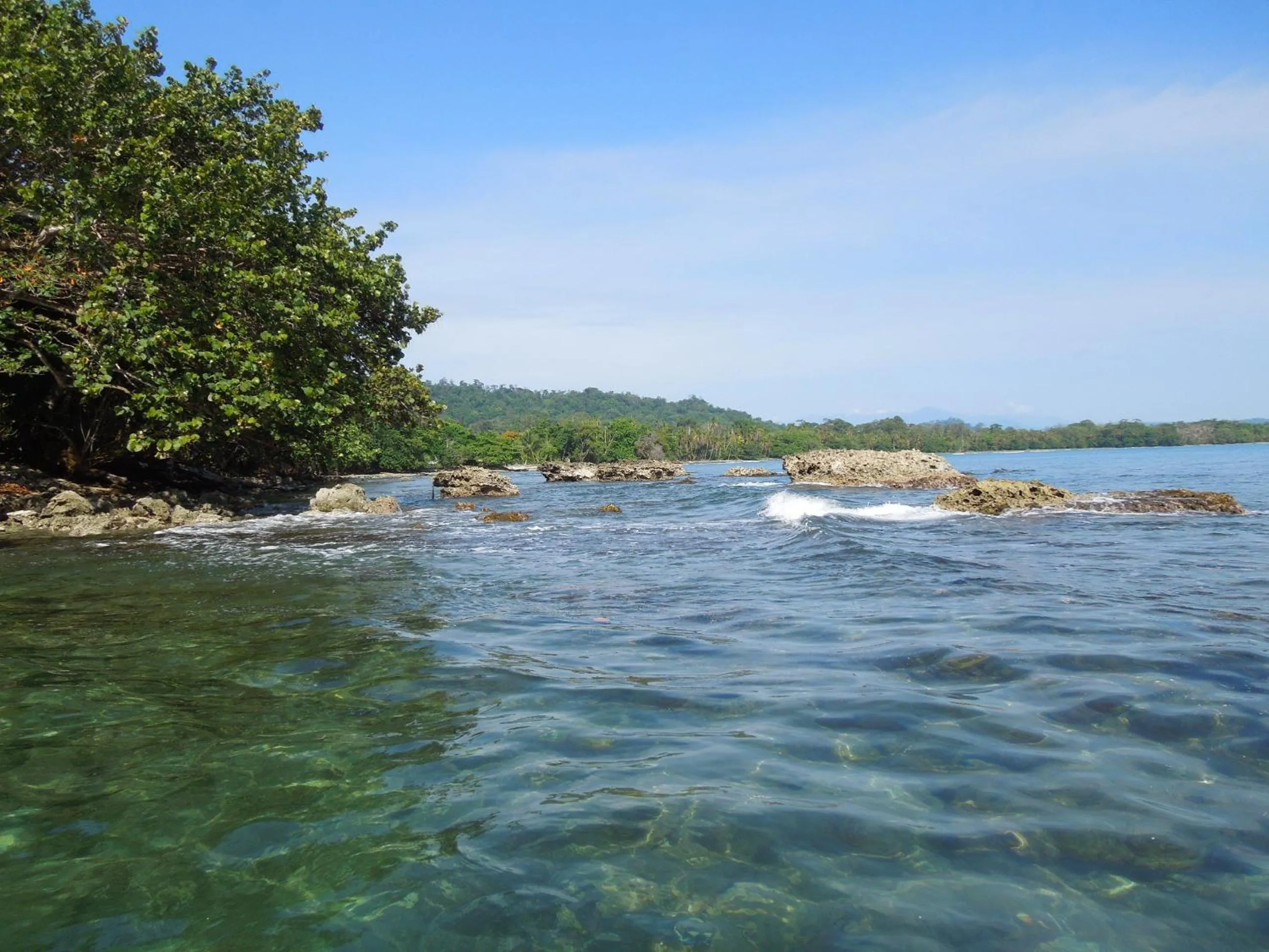 Beach in Casitas Las Flores