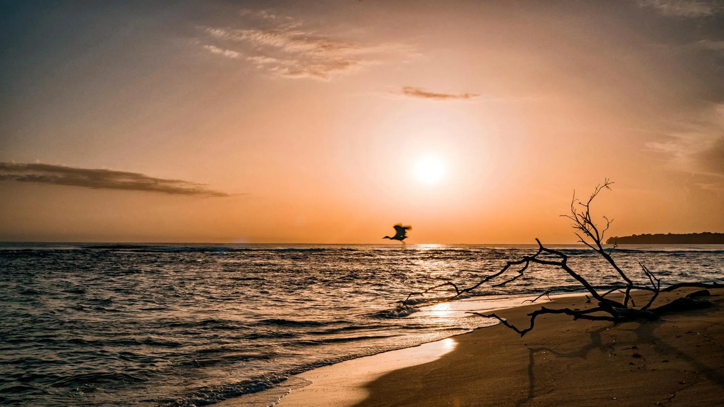 Beach in Casitas Las Flores