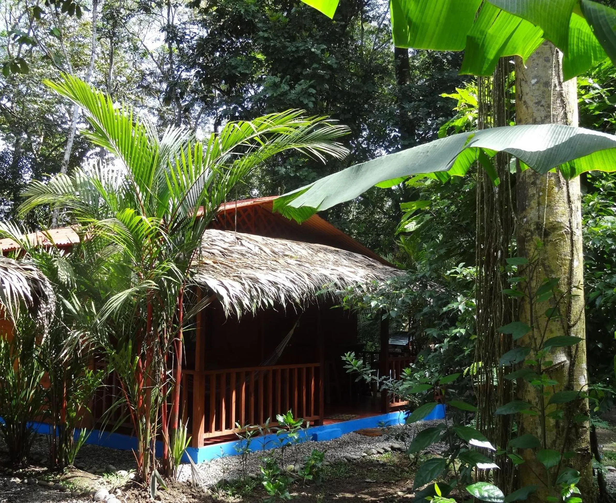 Garden in Casitas Las Flores