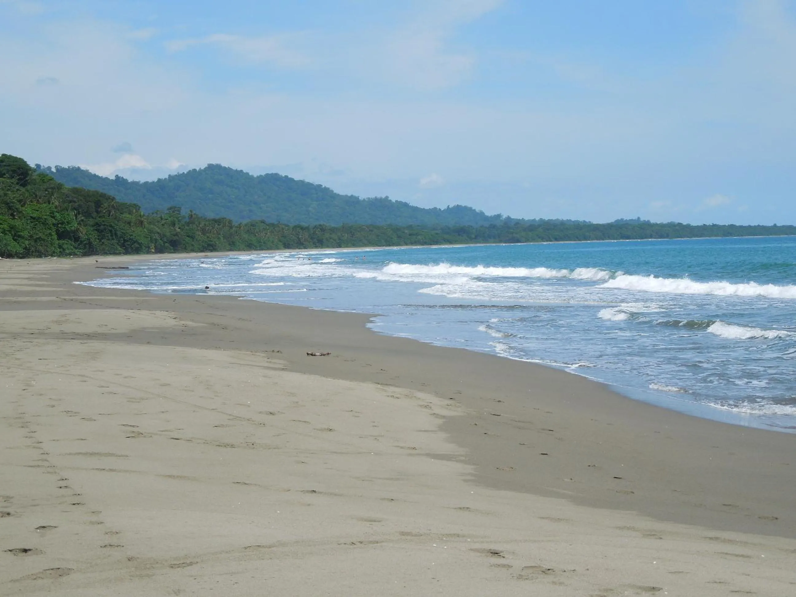 Beach in Casitas Las Flores