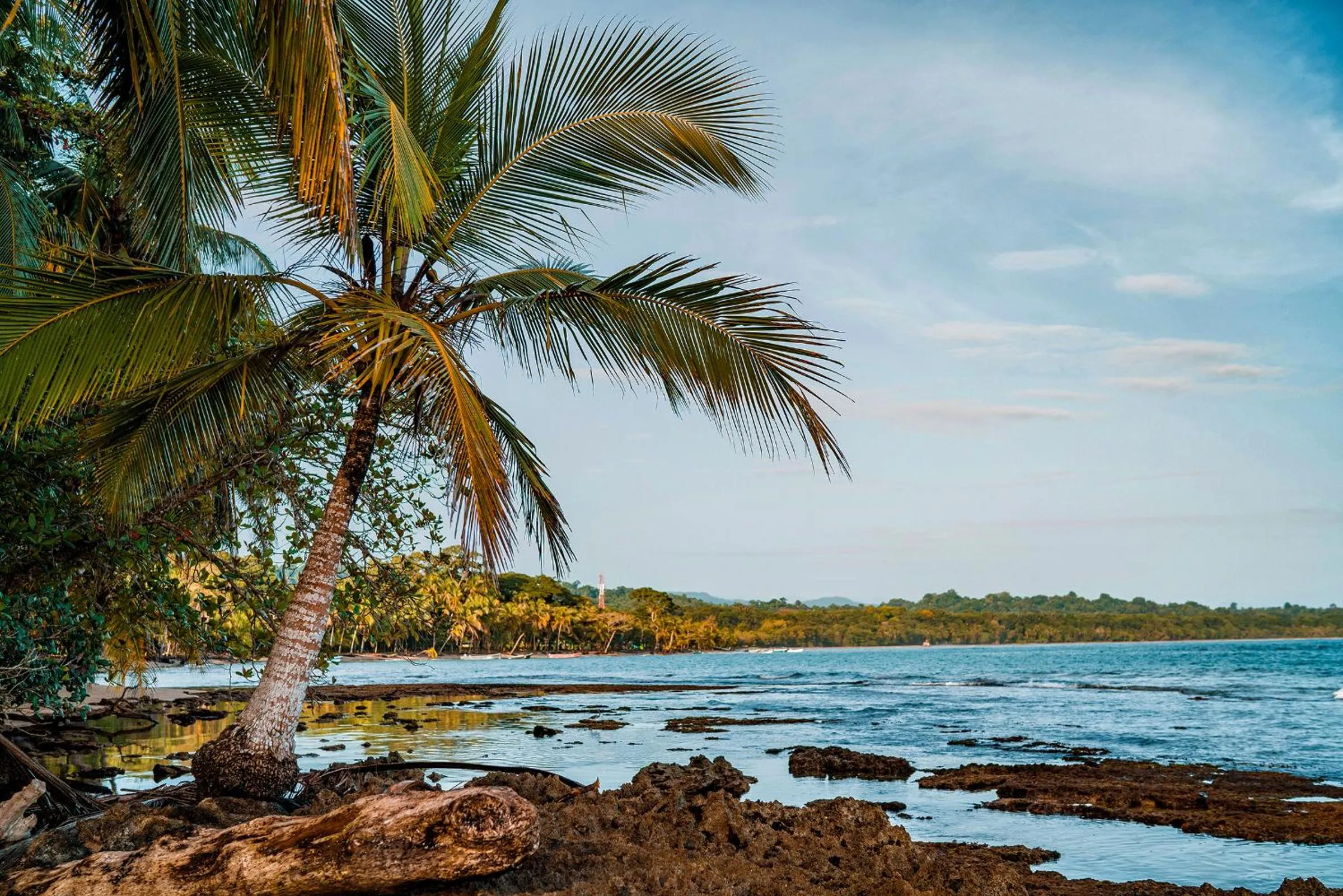 Beach in Casitas Las Flores