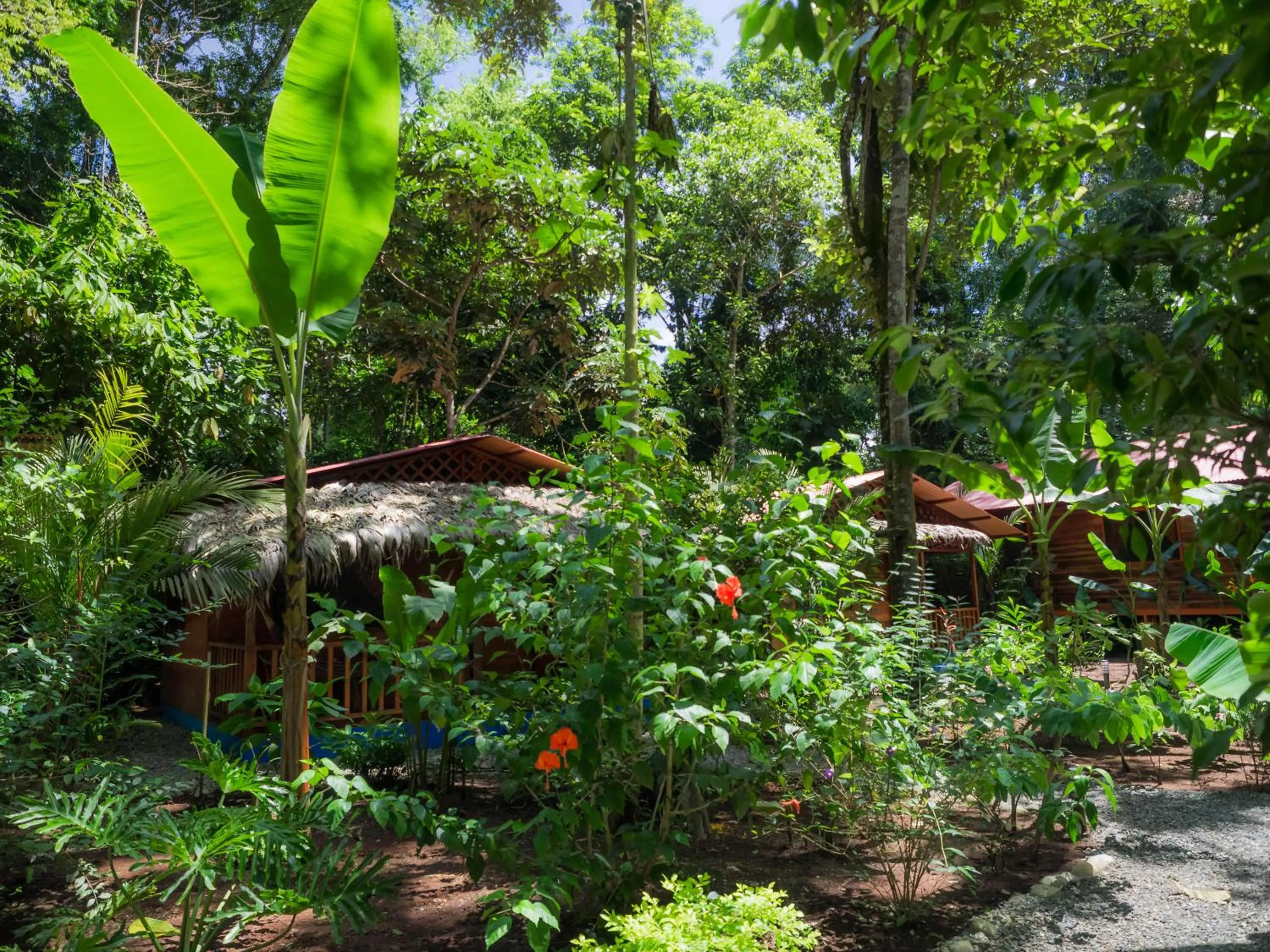 Garden in Casitas Las Flores
