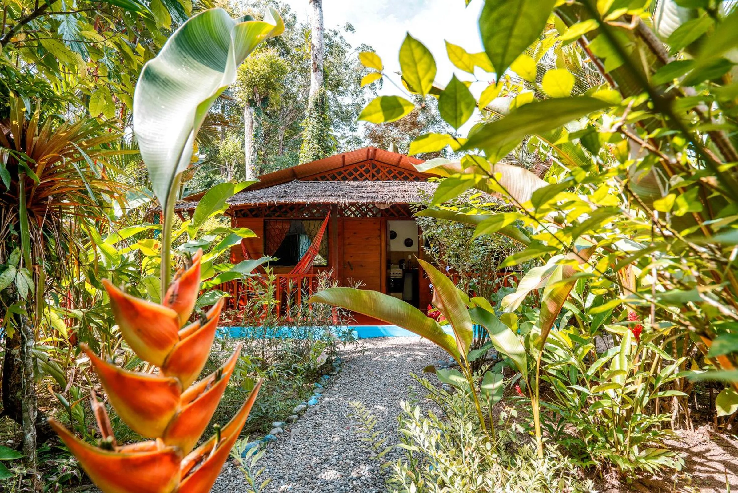 Garden in Casitas Las Flores