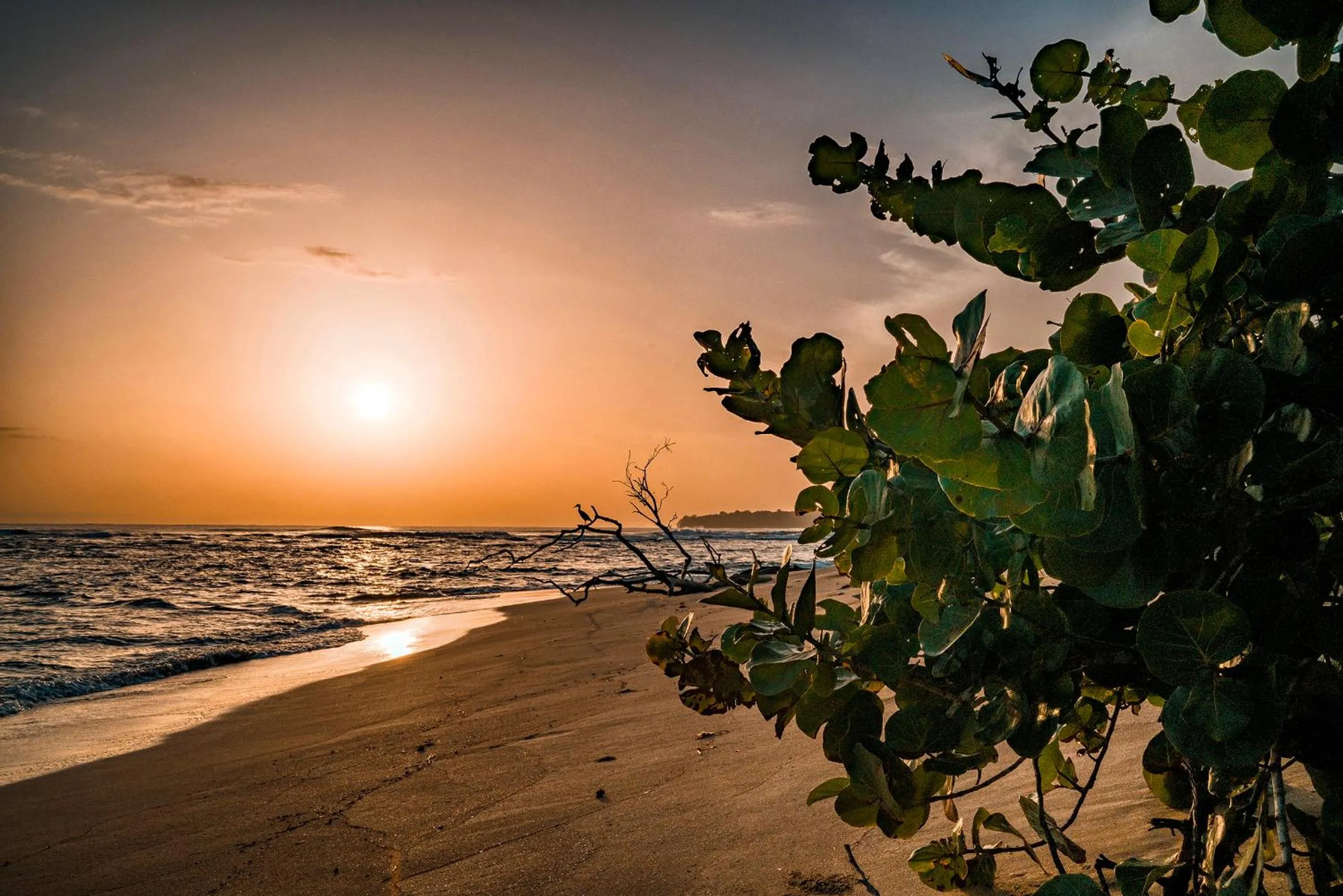 Beach in Casitas Las Flores