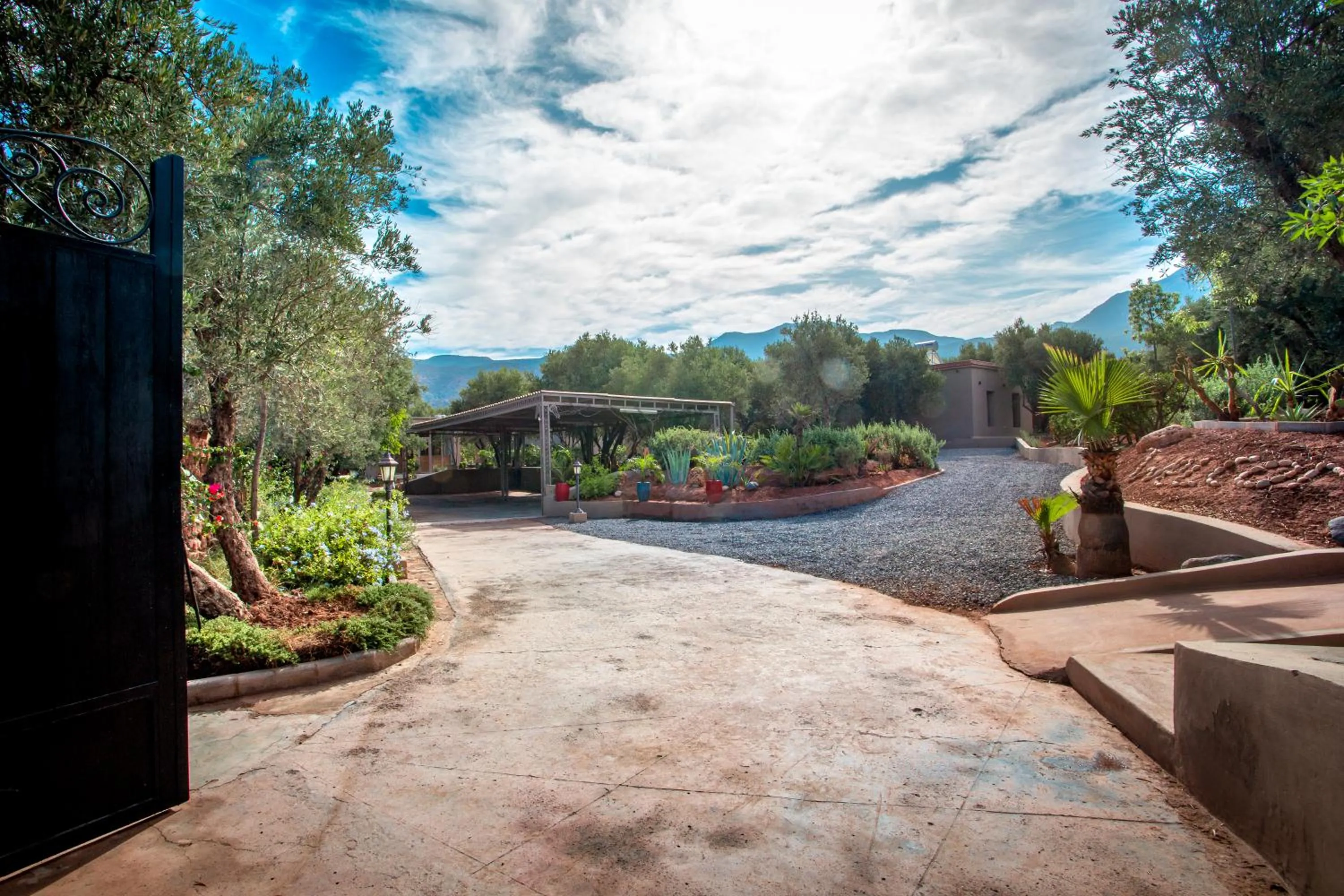 Garden in Atlas Luxury Garden