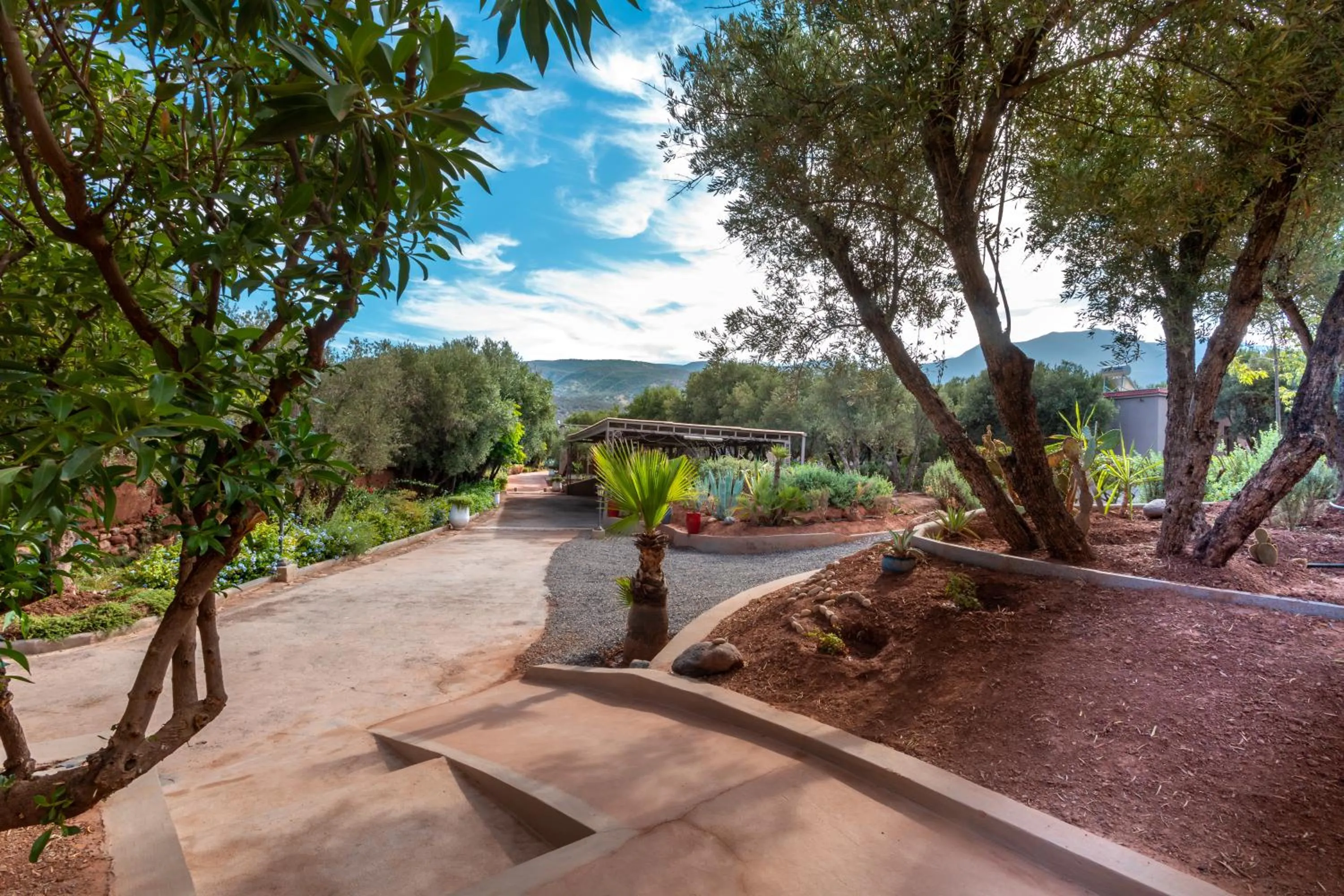 Garden in Atlas Luxury Garden