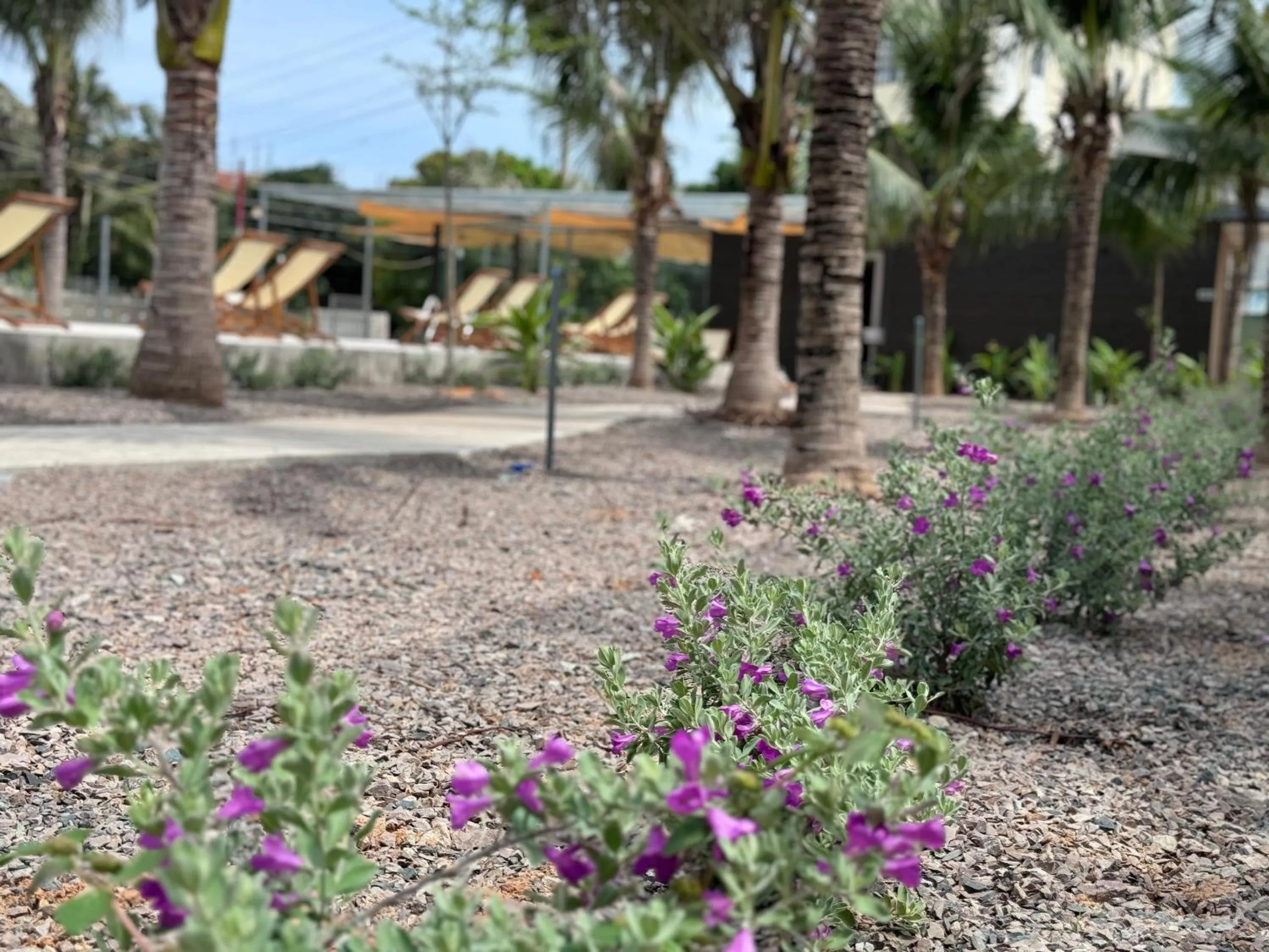 Wanderlust garden inn