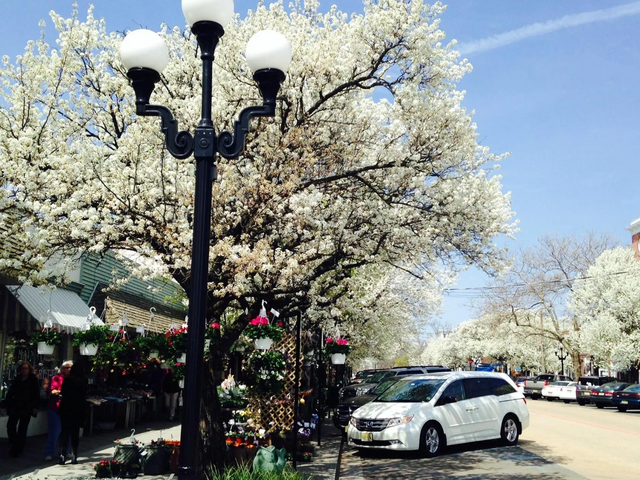 Spring in The Ocean Plaza Hotel