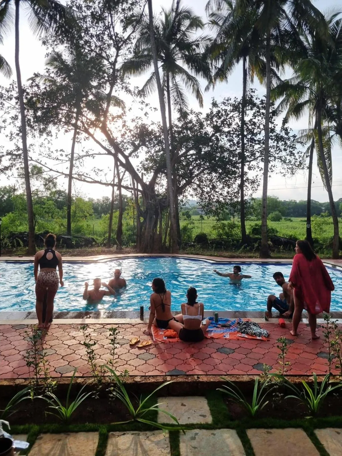group of guests in Seclude Eco Cottages