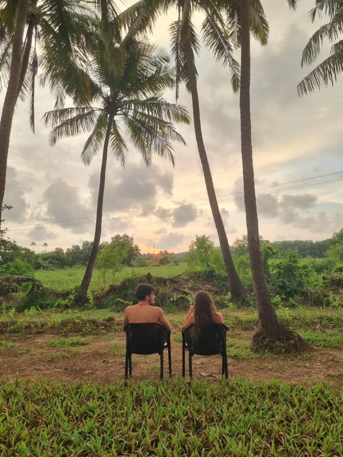 Natural landscape in Seclude Eco Cottages