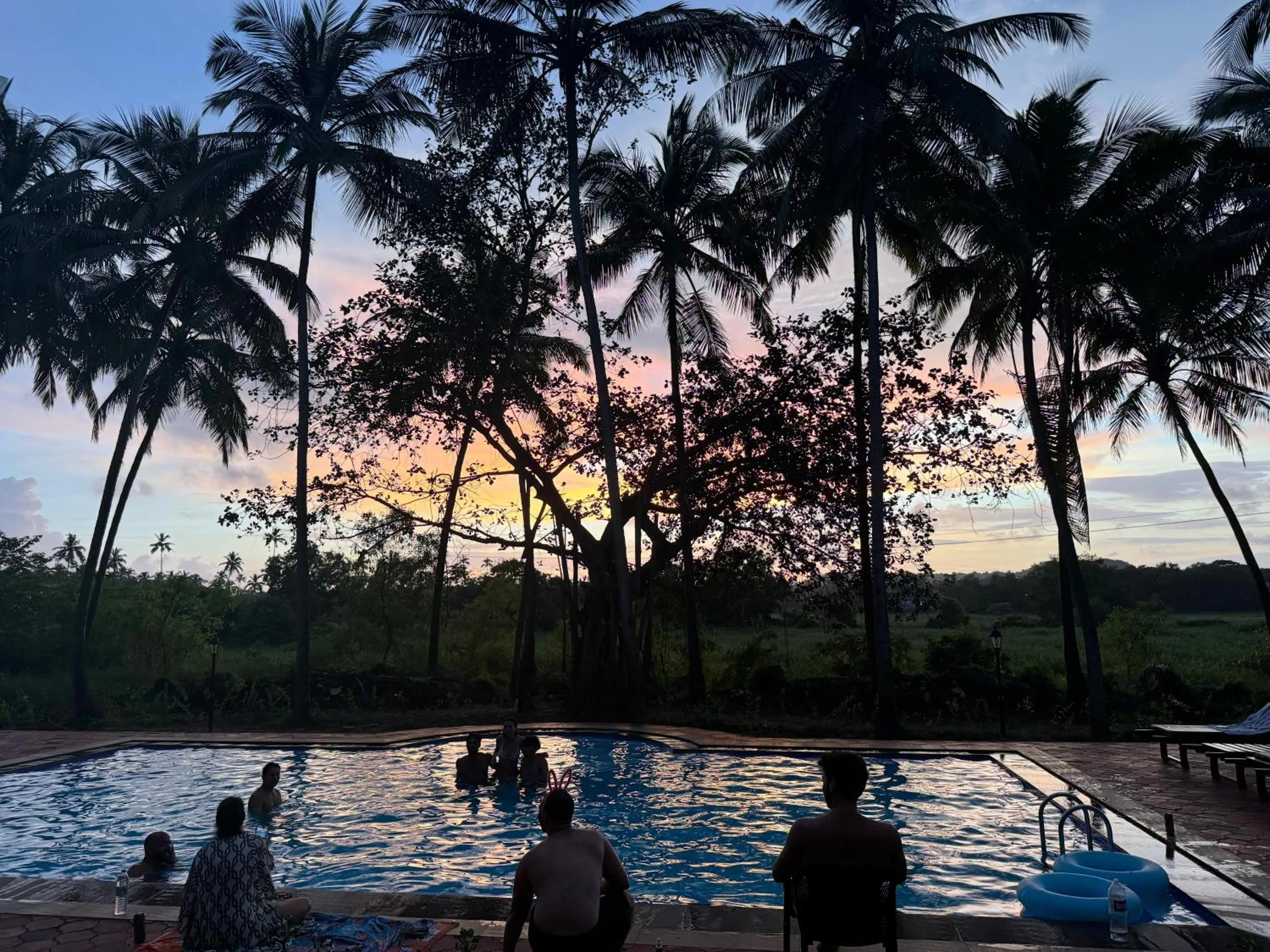 Natural landscape in Seclude Eco Cottages