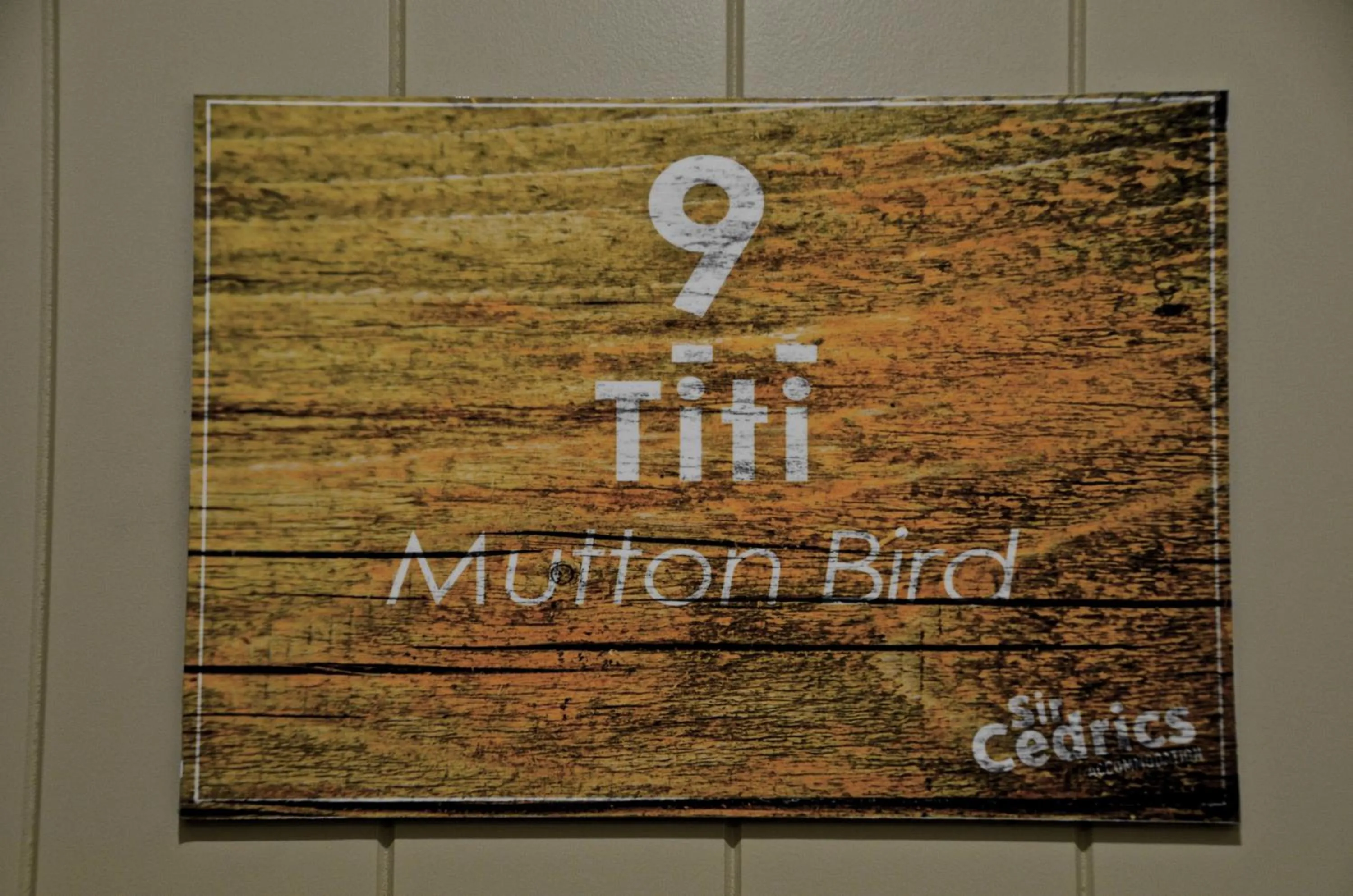 Other in Tahuna Pod Hostel