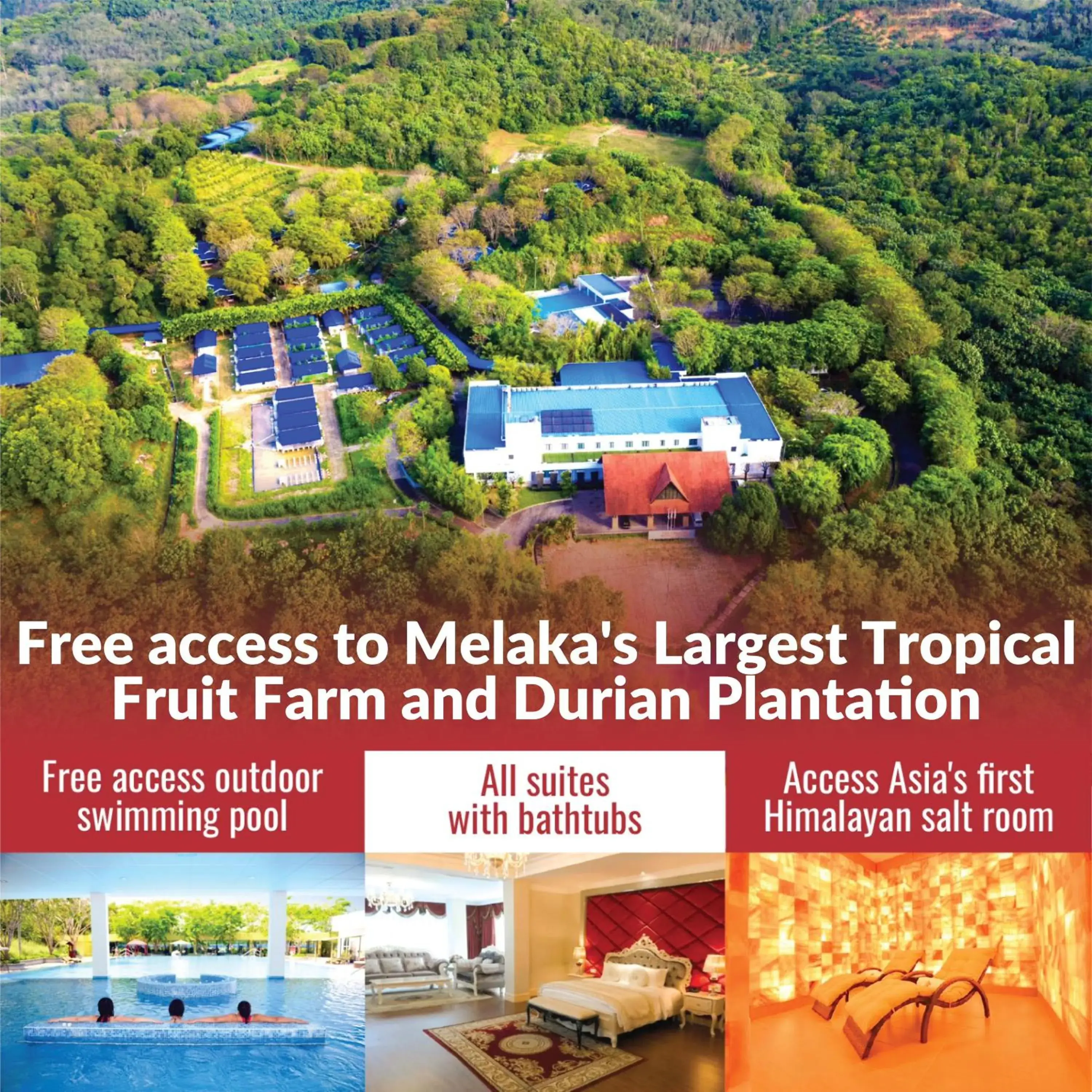 Property building in The Orchard Resort & Spa Melaka I World Spa Awards Winner I Free Access to Outdoor Spa Pool Property building in The Orchard Resort & Spa Melaka I World Spa Awards Winner I Free Access to Outdoor Spa Pool