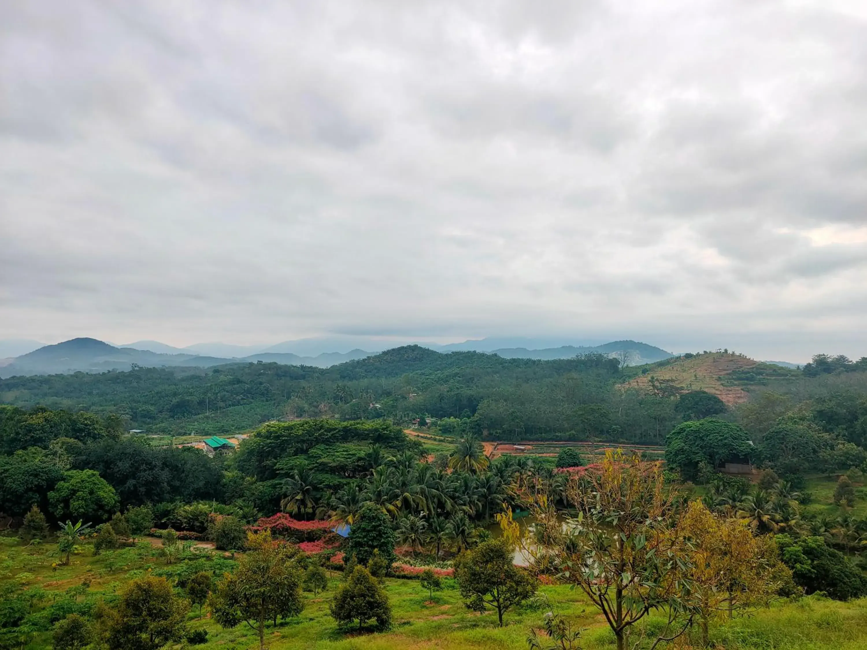 View (from property/room) in The Orchard Resort & Spa Melaka I World Spa Awards Winner I Free Access to Outdoor Spa Pool View (from property/room) in The Orchard Resort & Spa Melaka I World Spa Awards Winner I Free Access to Outdoor Spa Pool