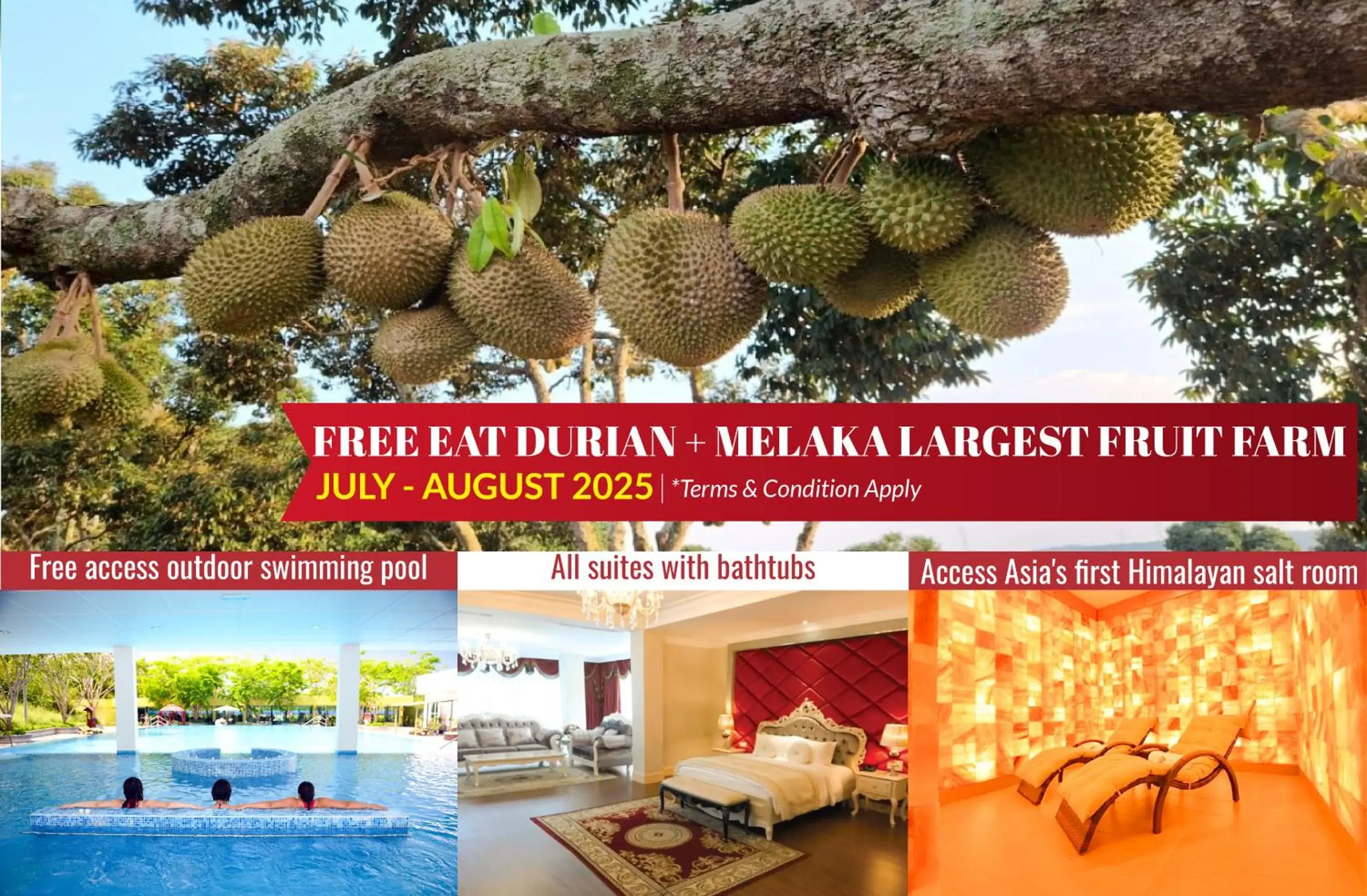 Property building in The Orchard Resort & Spa Melaka I World Spa Awards Winner I Free Access to Outdoor Spa Pool Property building in The Orchard Resort & Spa Melaka I World Spa Awards Winner I Free Access to Outdoor Spa Pool