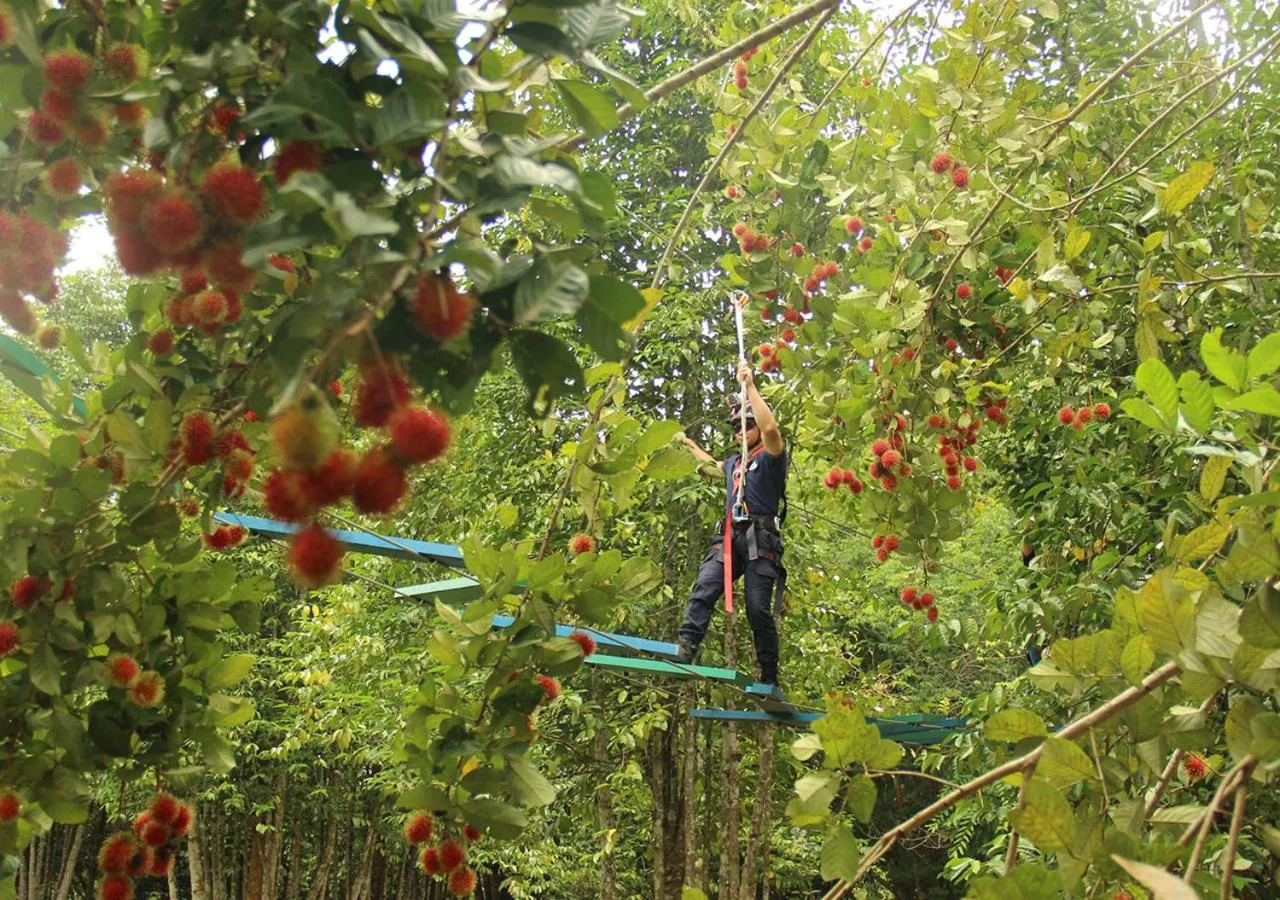 Natural landscape in The Orchard Resort & Spa Melaka I World Spa Awards Winner I Free Access to Outdoor Spa Pool
