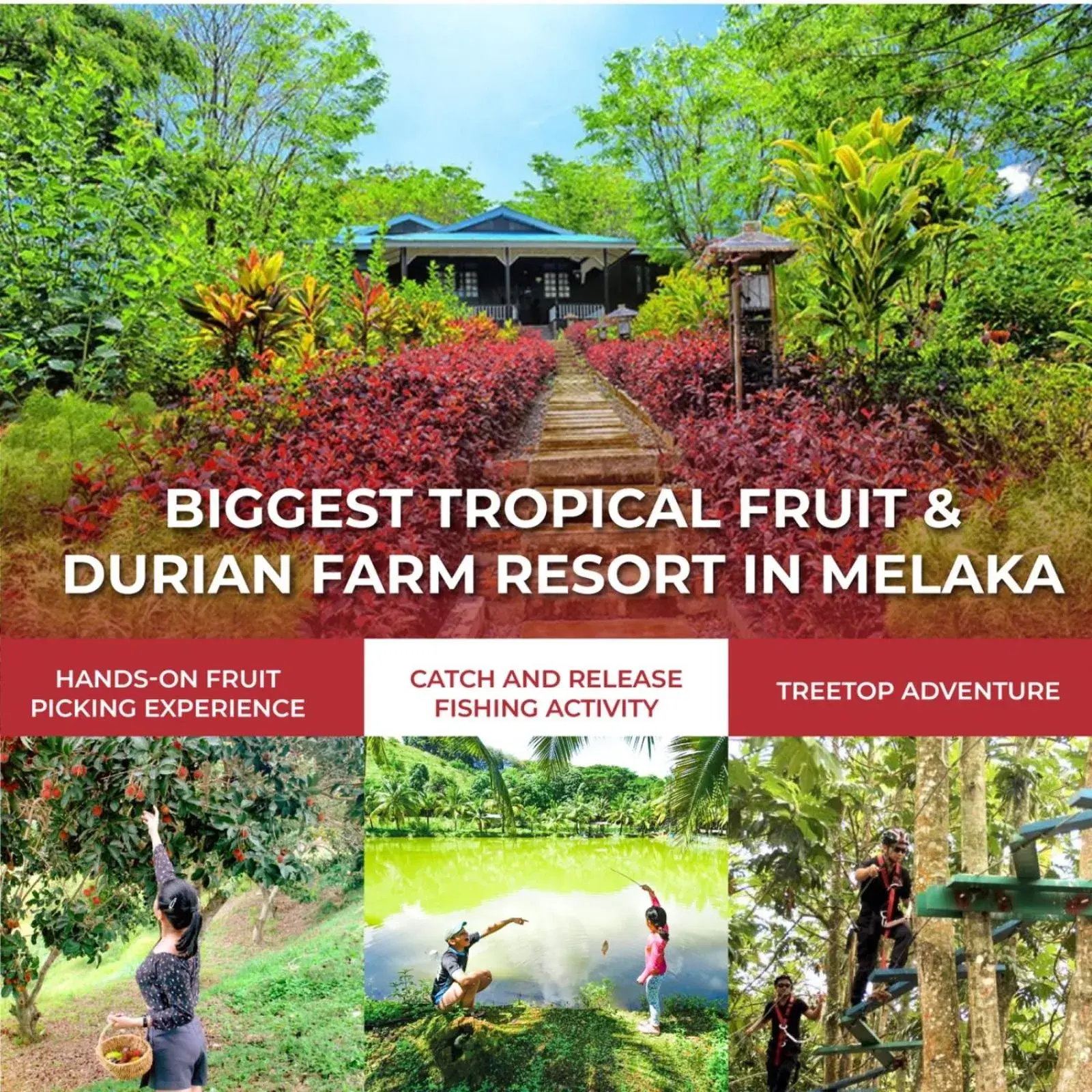 Property building in The Orchard Resort & Spa Melaka I World Spa Awards Winner I Free Access to Outdoor Spa Pool Property building in The Orchard Resort & Spa Melaka I World Spa Awards Winner I Free Access to Outdoor Spa Pool