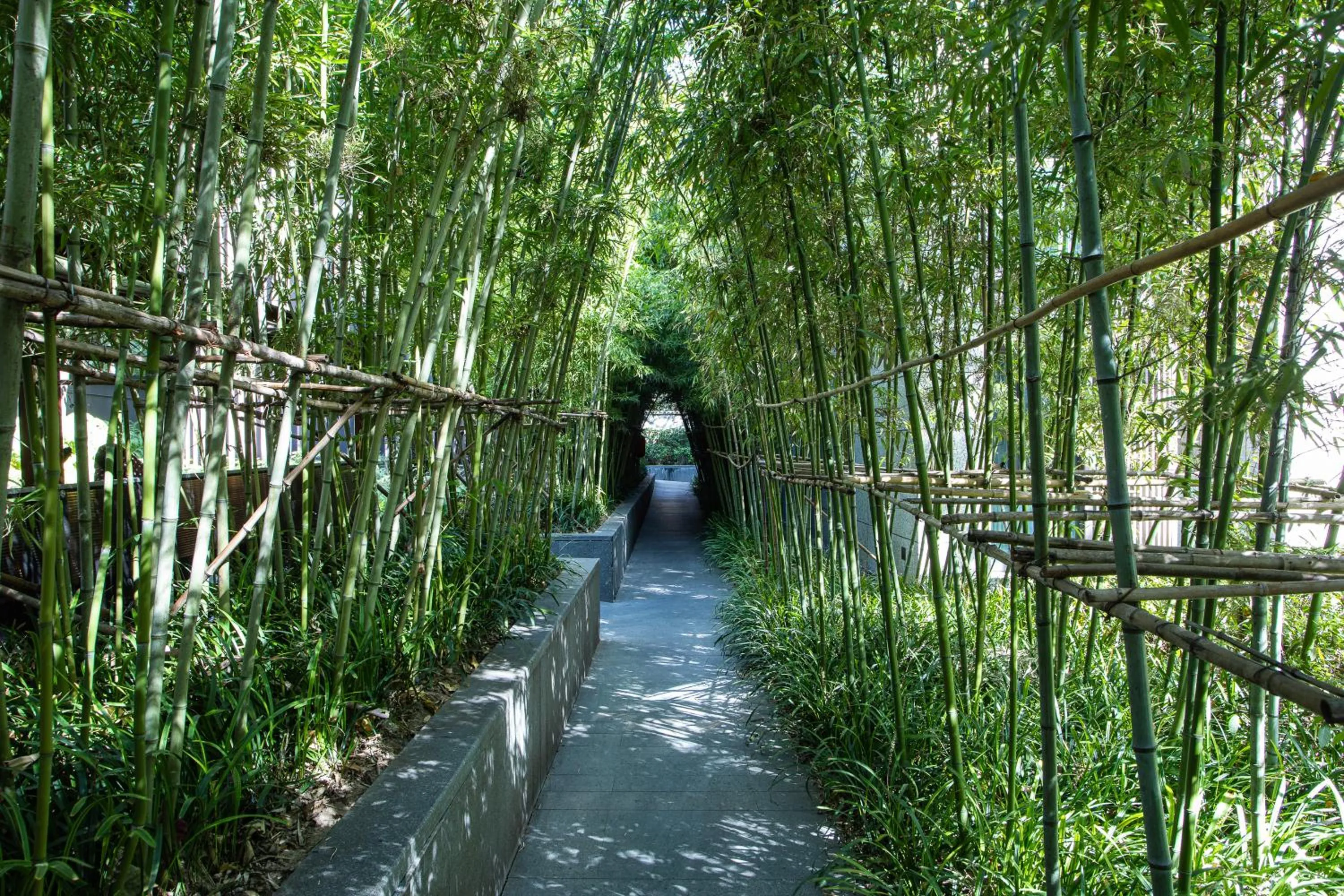 Natural landscape in Ascott Heng Shan Shanghai