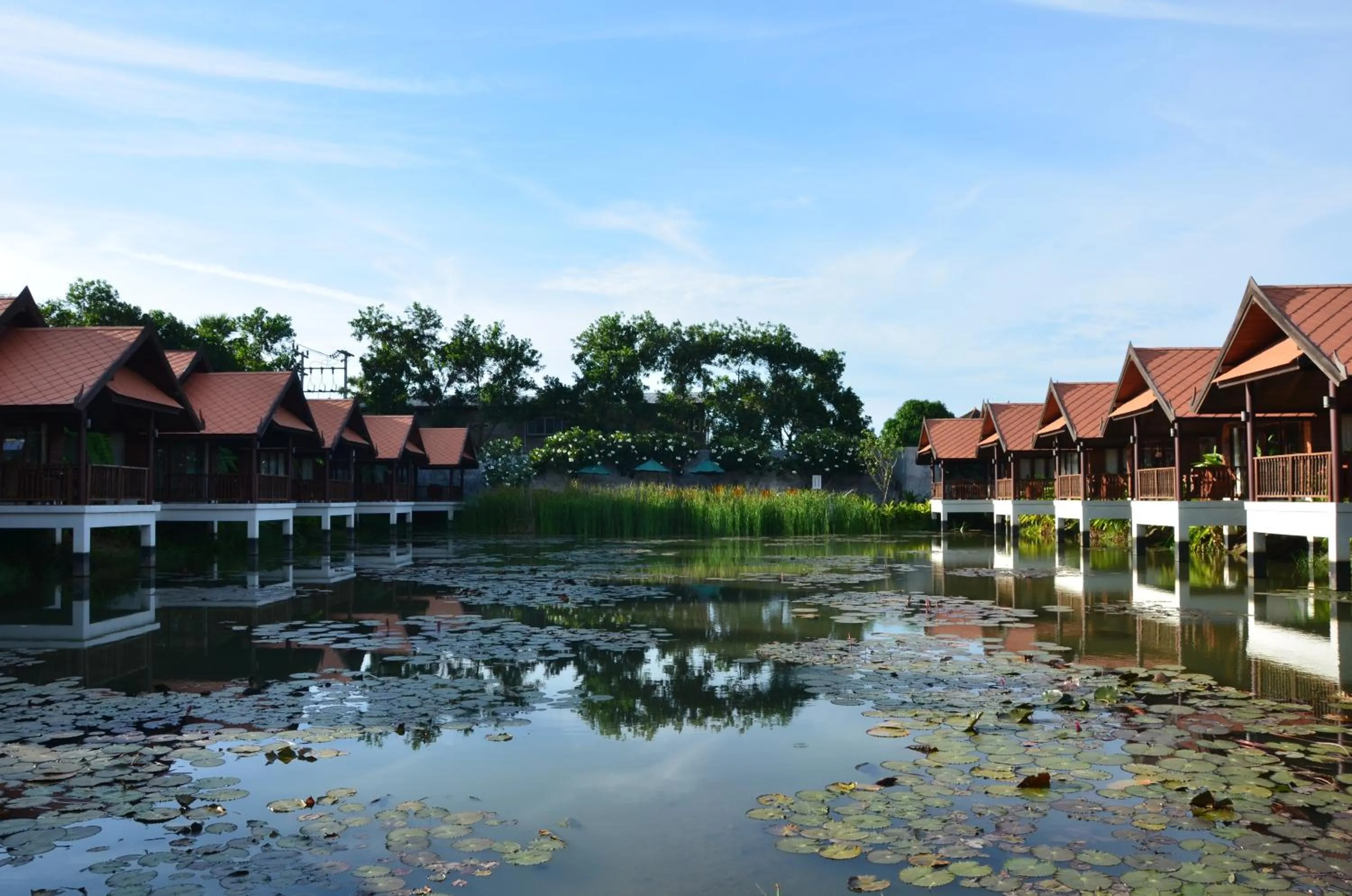 Lake view in Farmers Villa