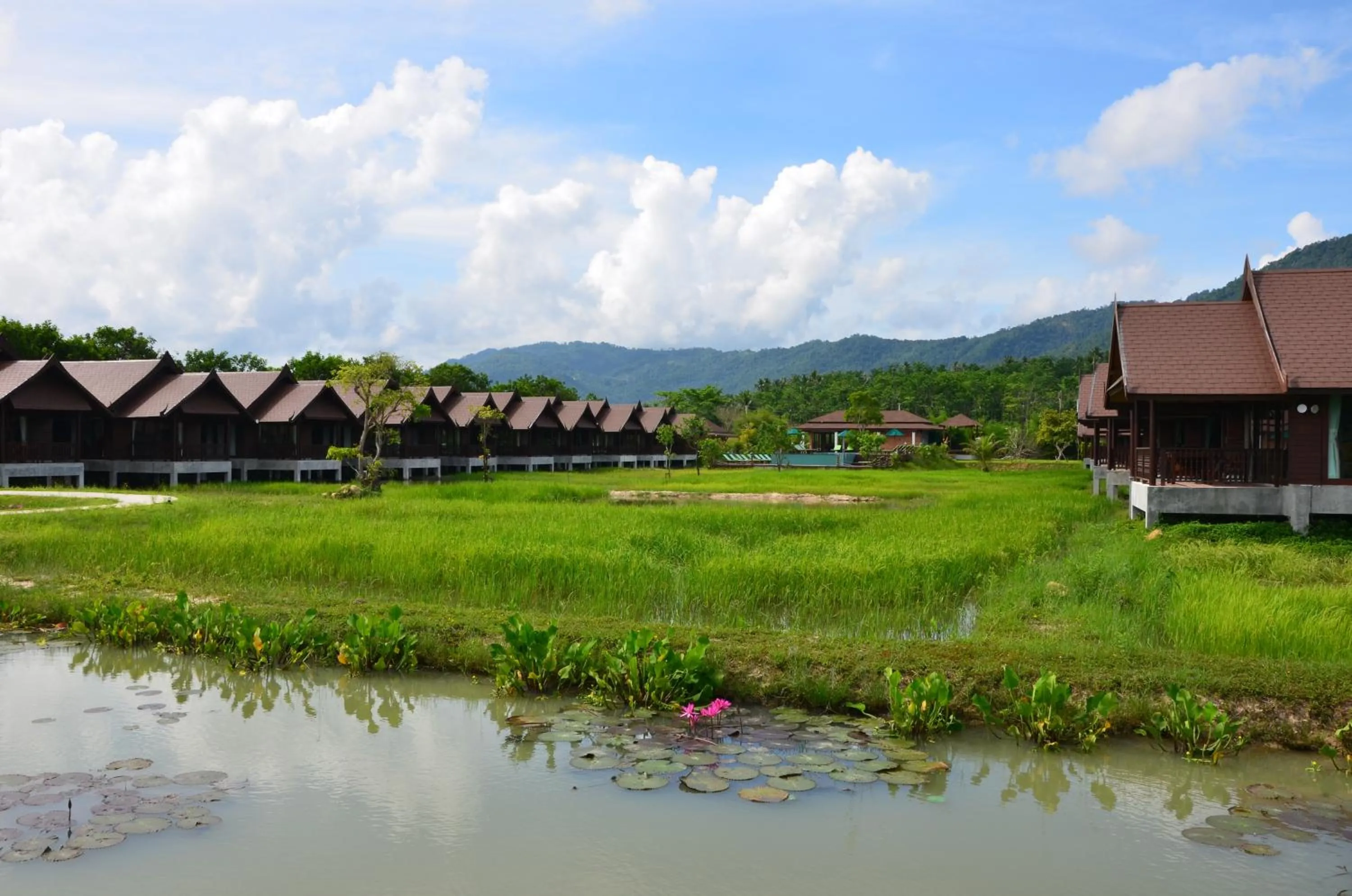 Activities in Farmers Villa