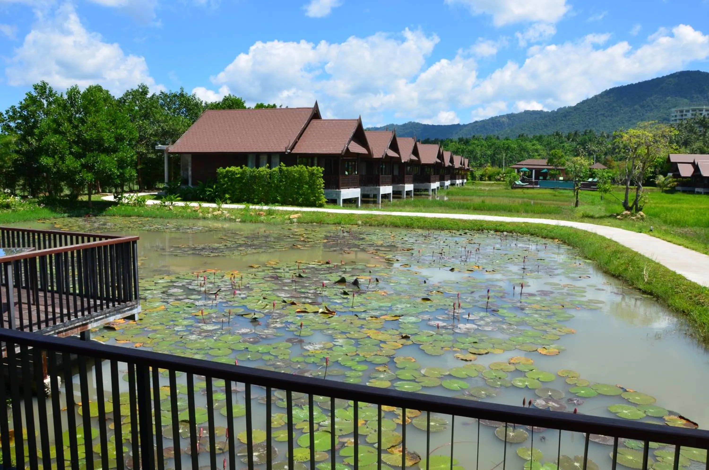 Activities in Farmers Villa