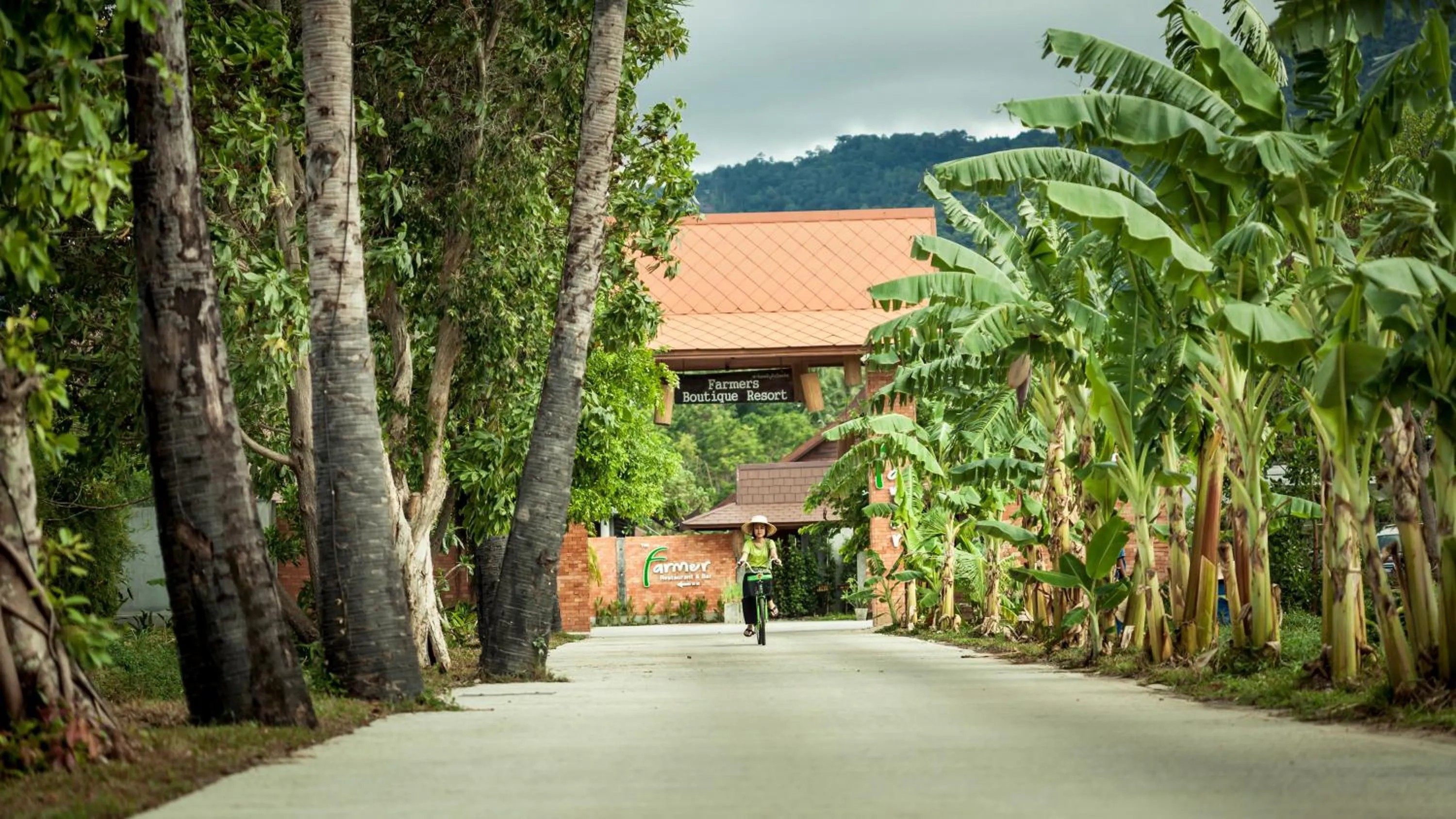View (from property/room) in Farmers Villa