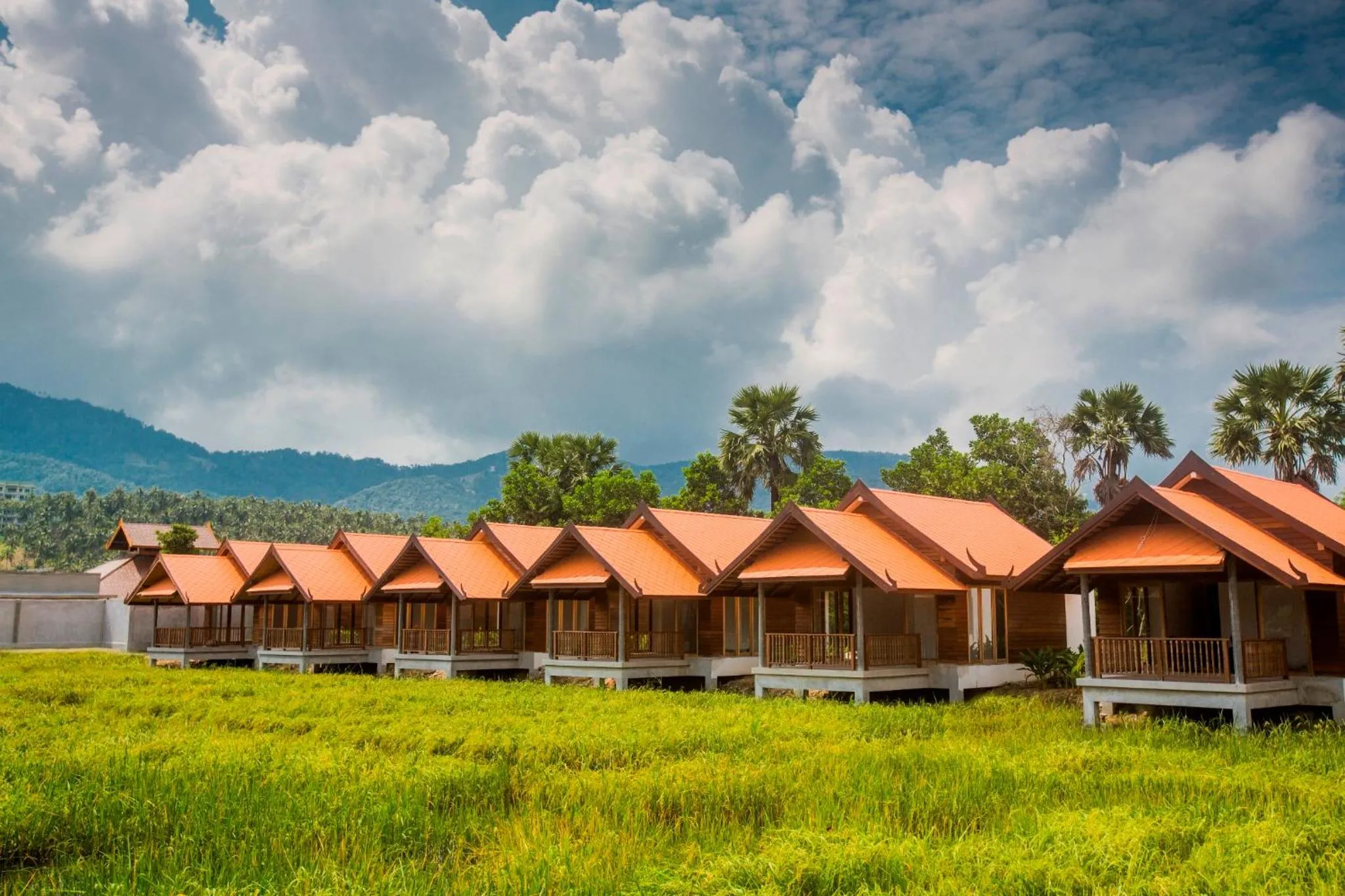 Day in Farmers Villa